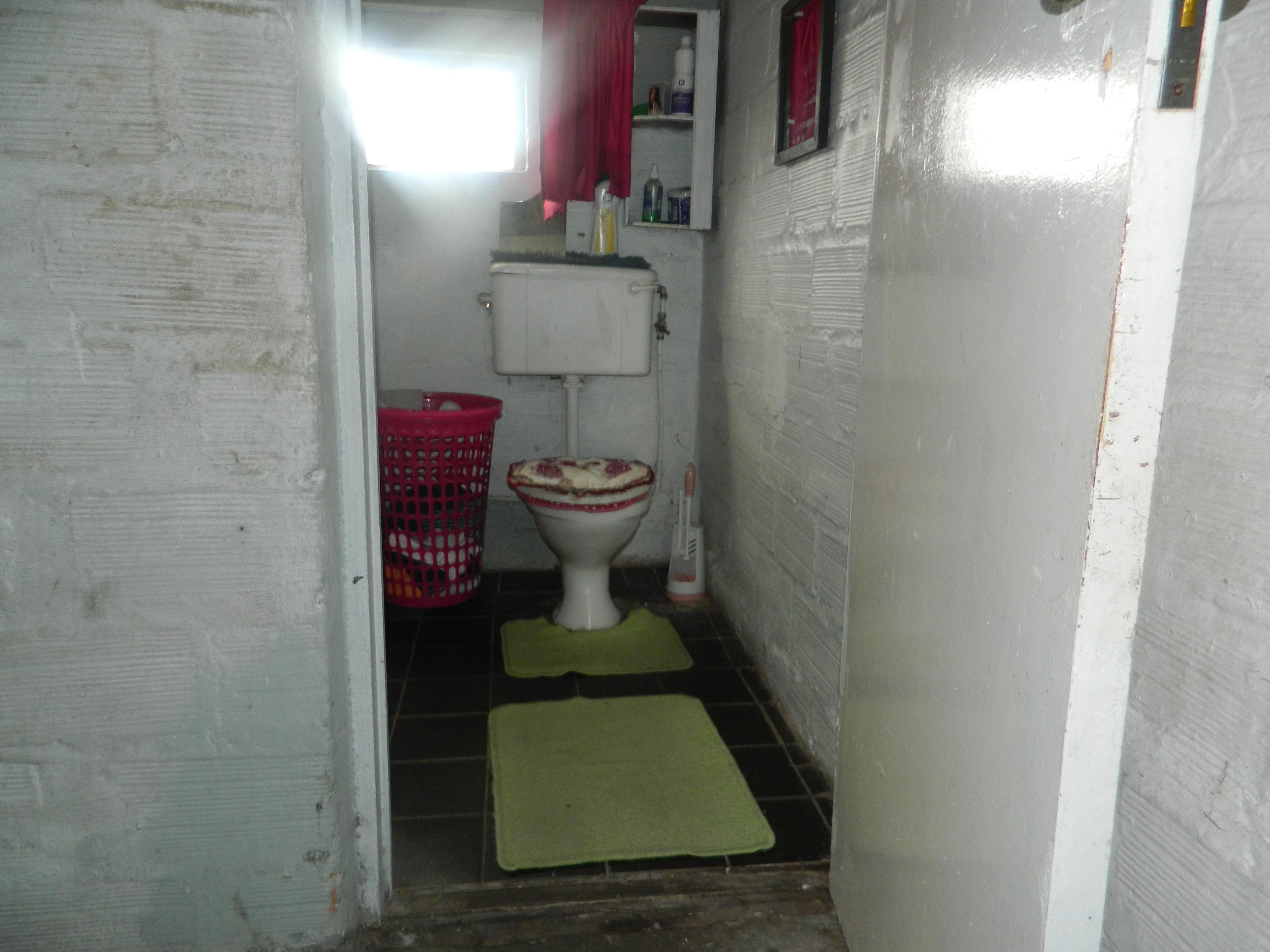 Image 13