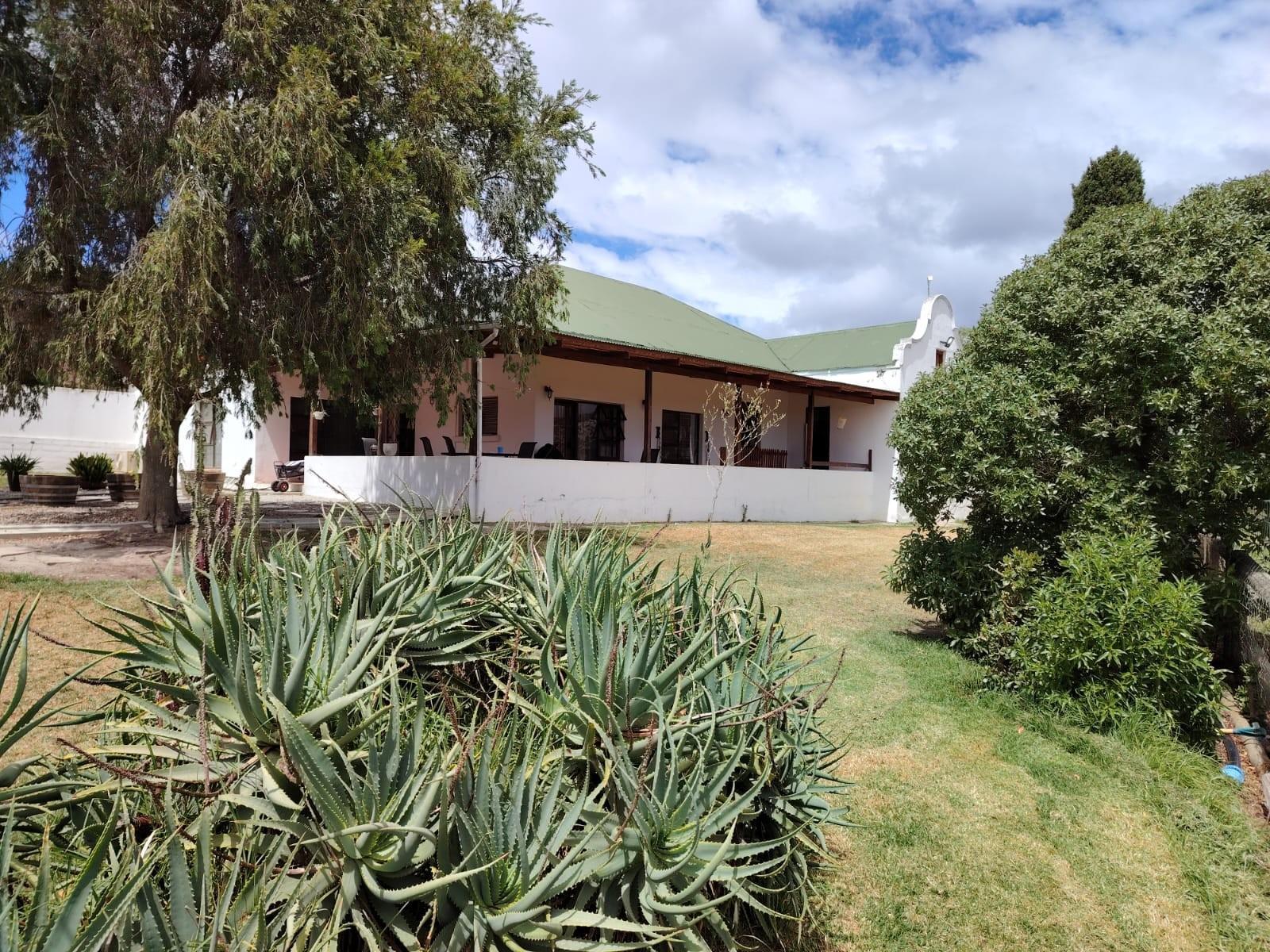 Image 31