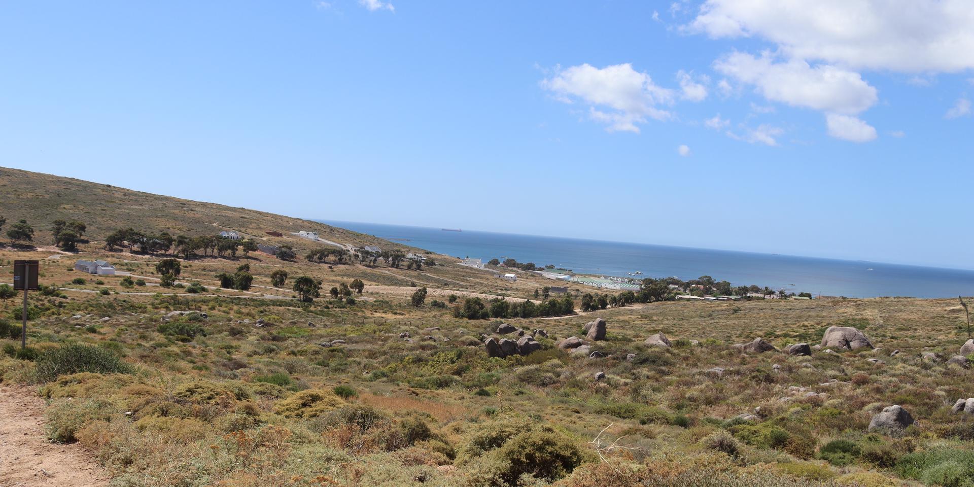 Image 5 of 6
