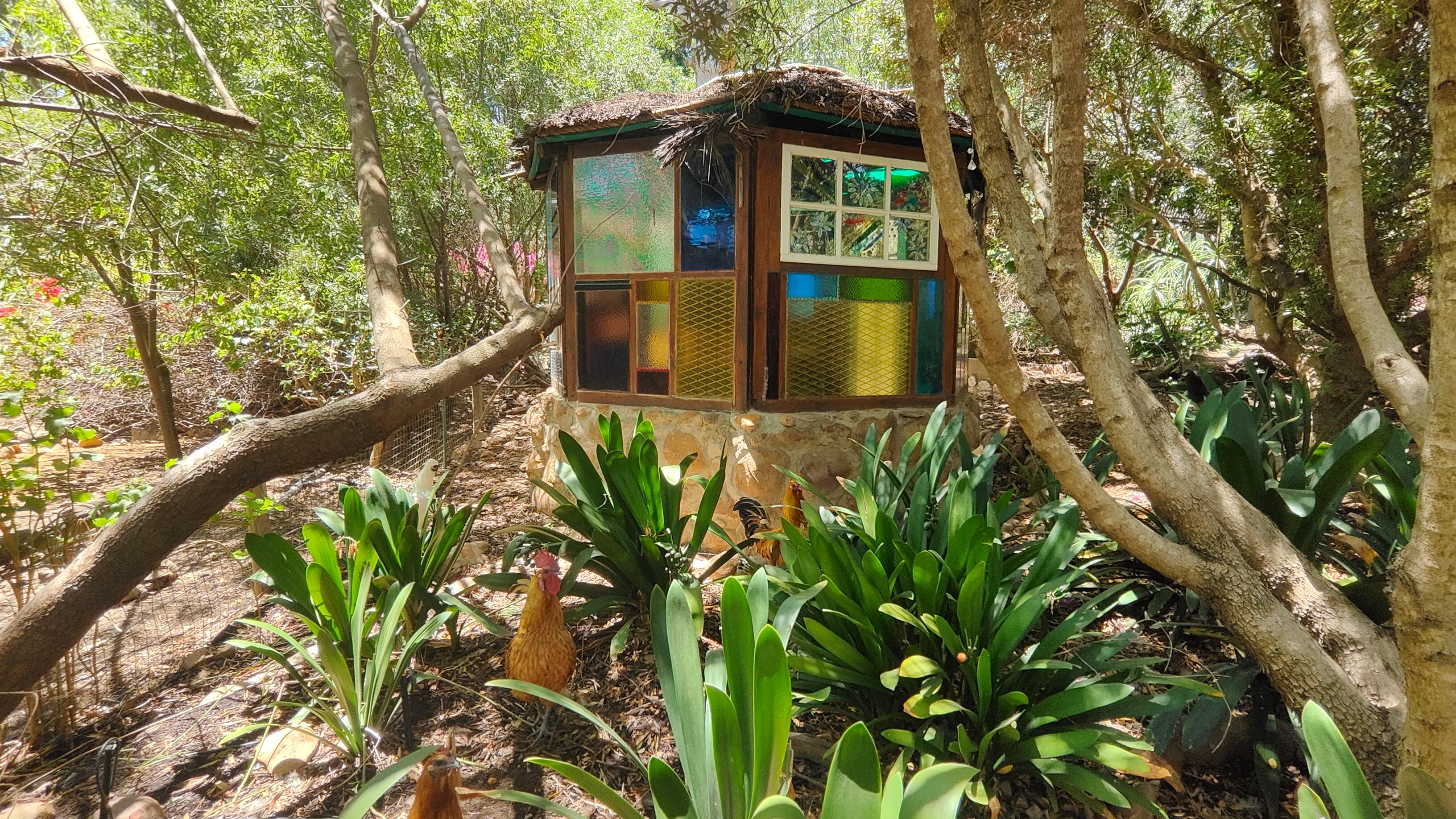 Image 30