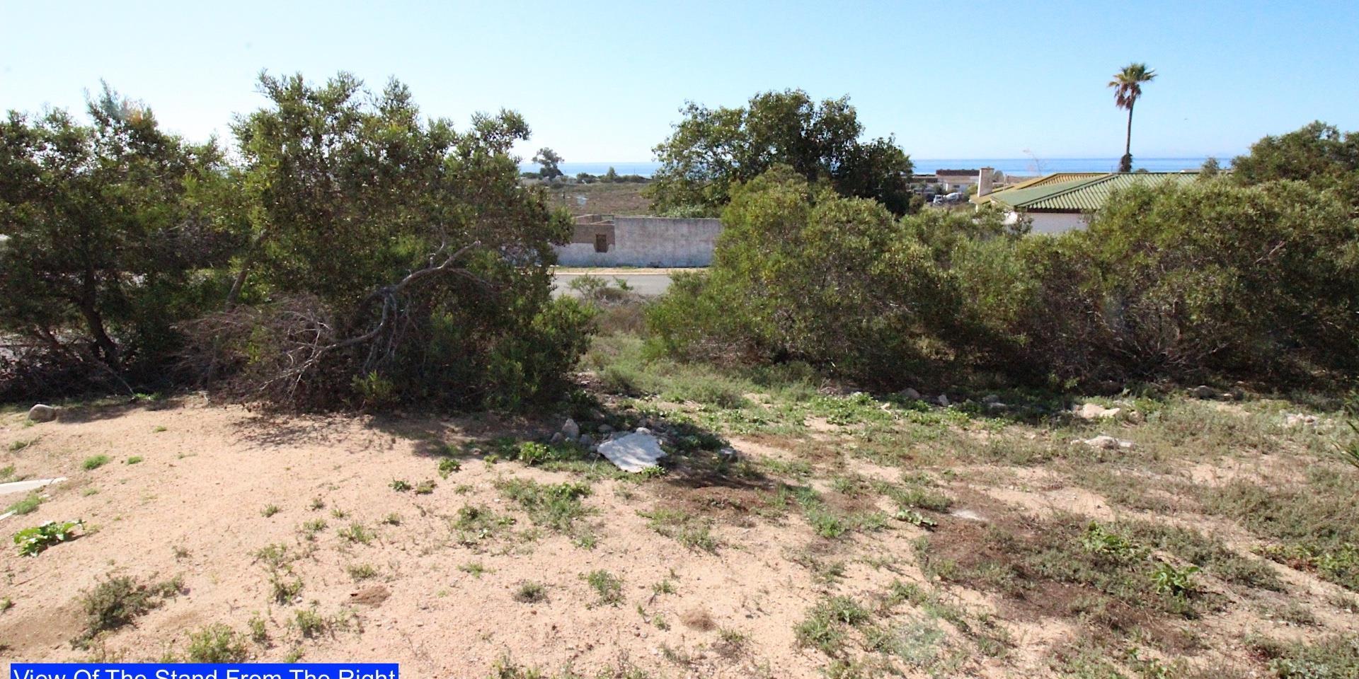 Image 5 of 6