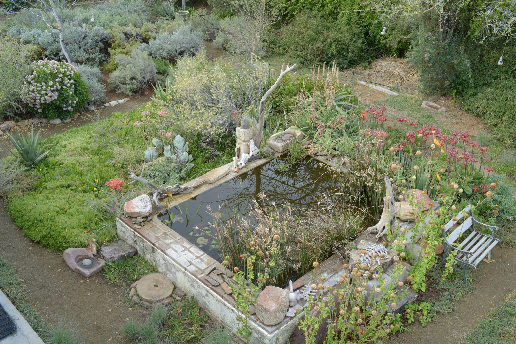 Image 43