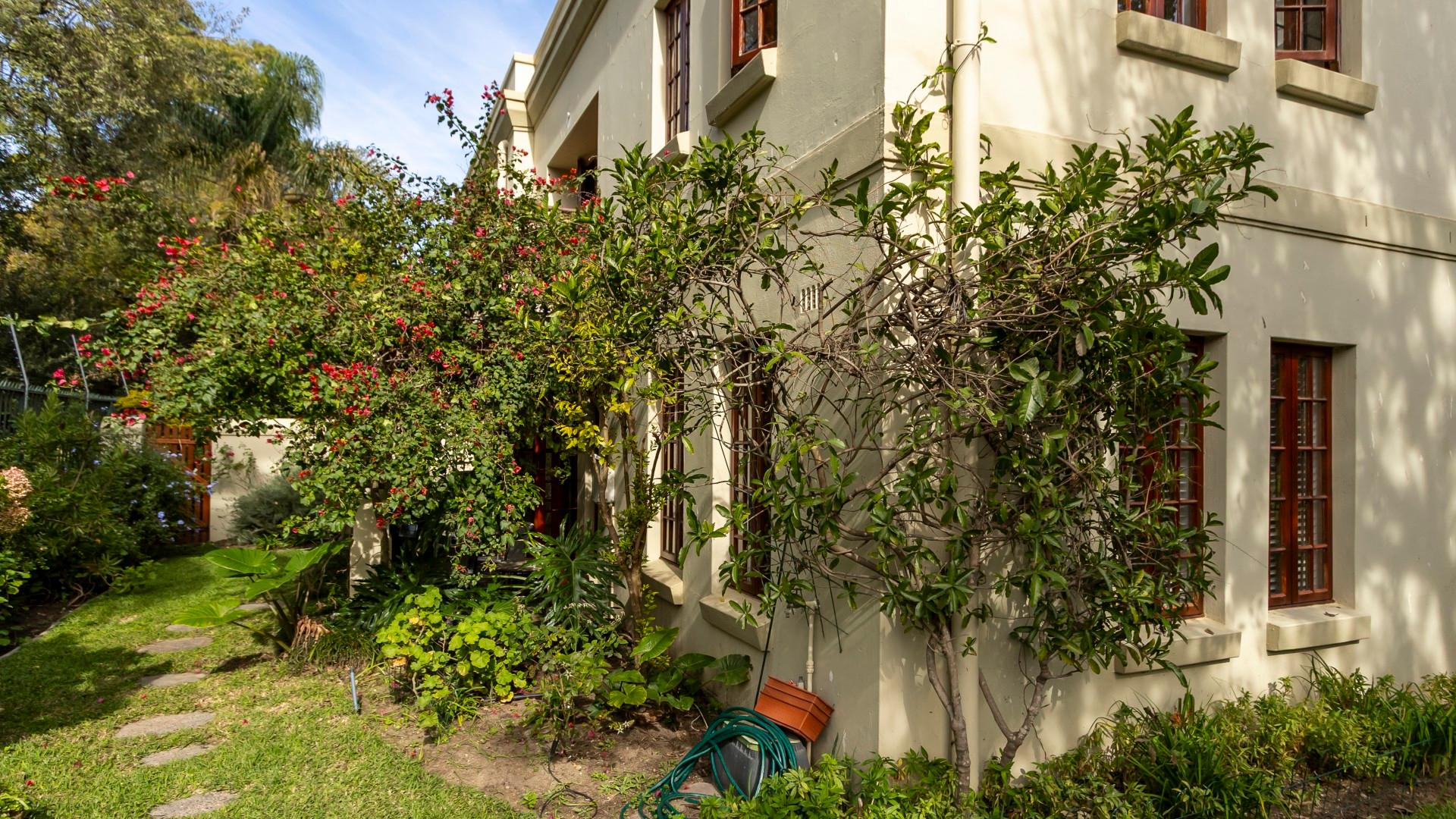 Image 23