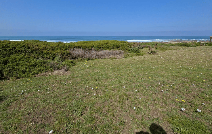 Image 4 of 6