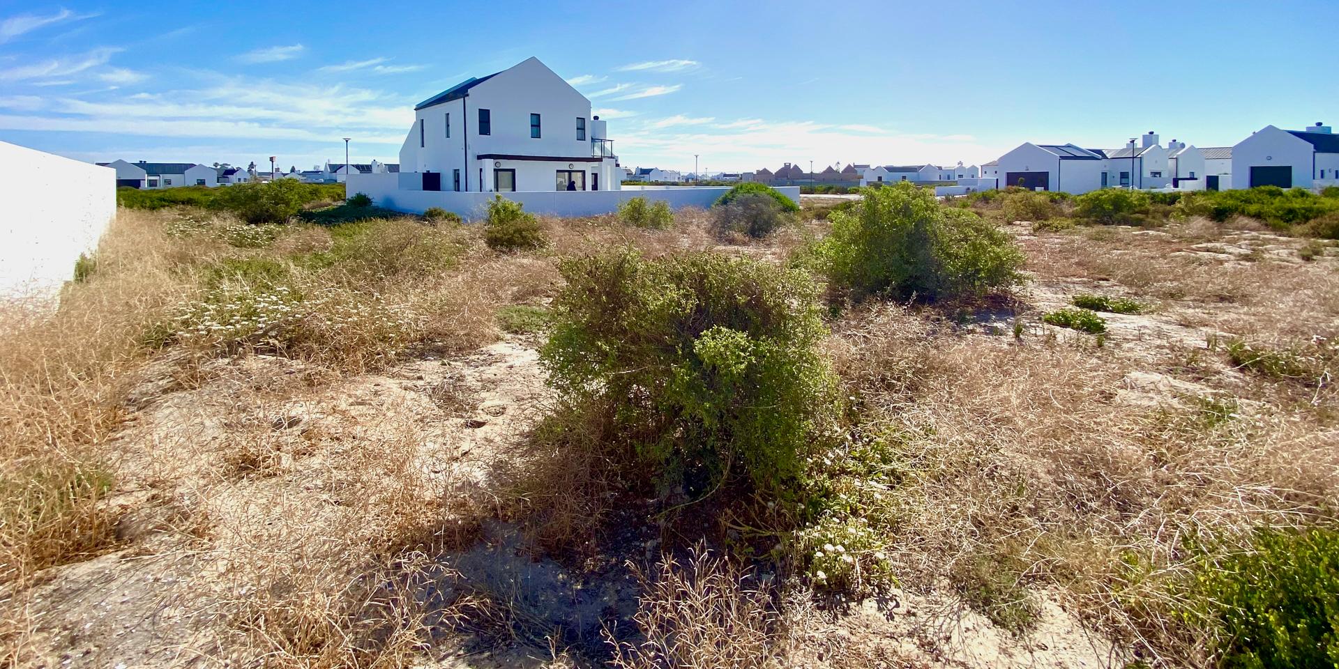 Image 4 of 6