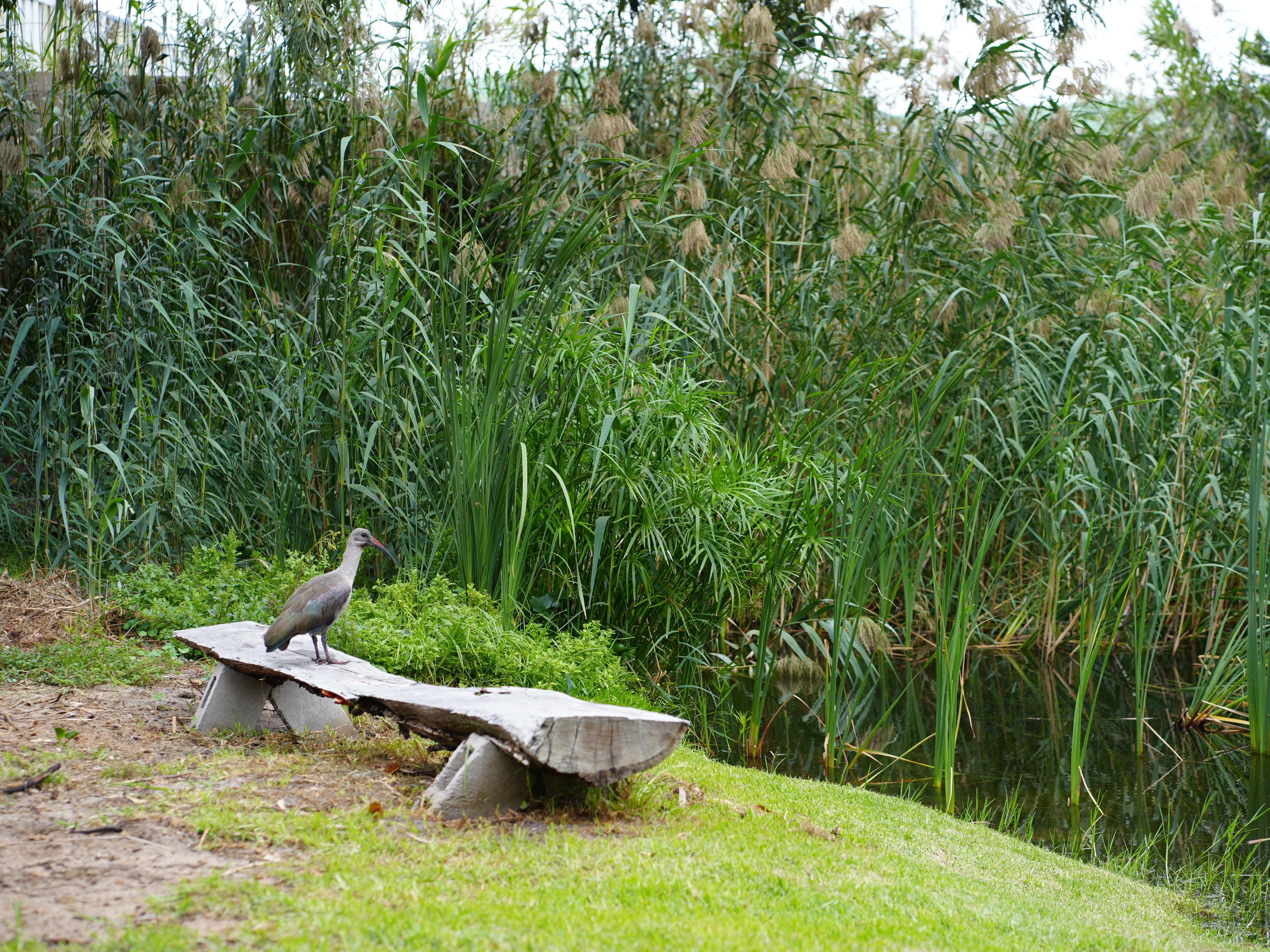 Image 5 of 6