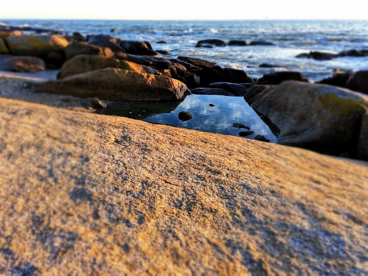 Image 14