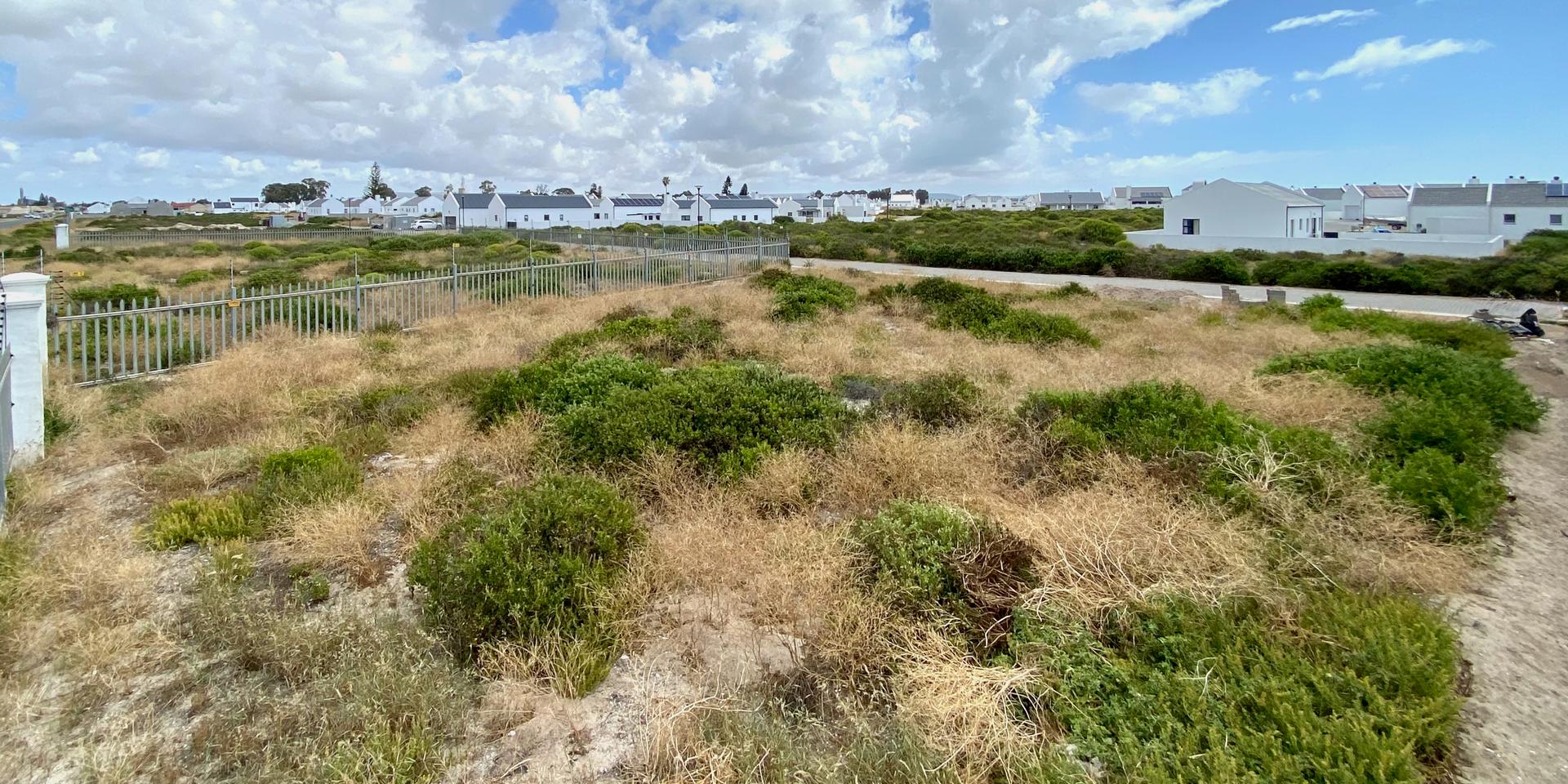 Image 4 of 6