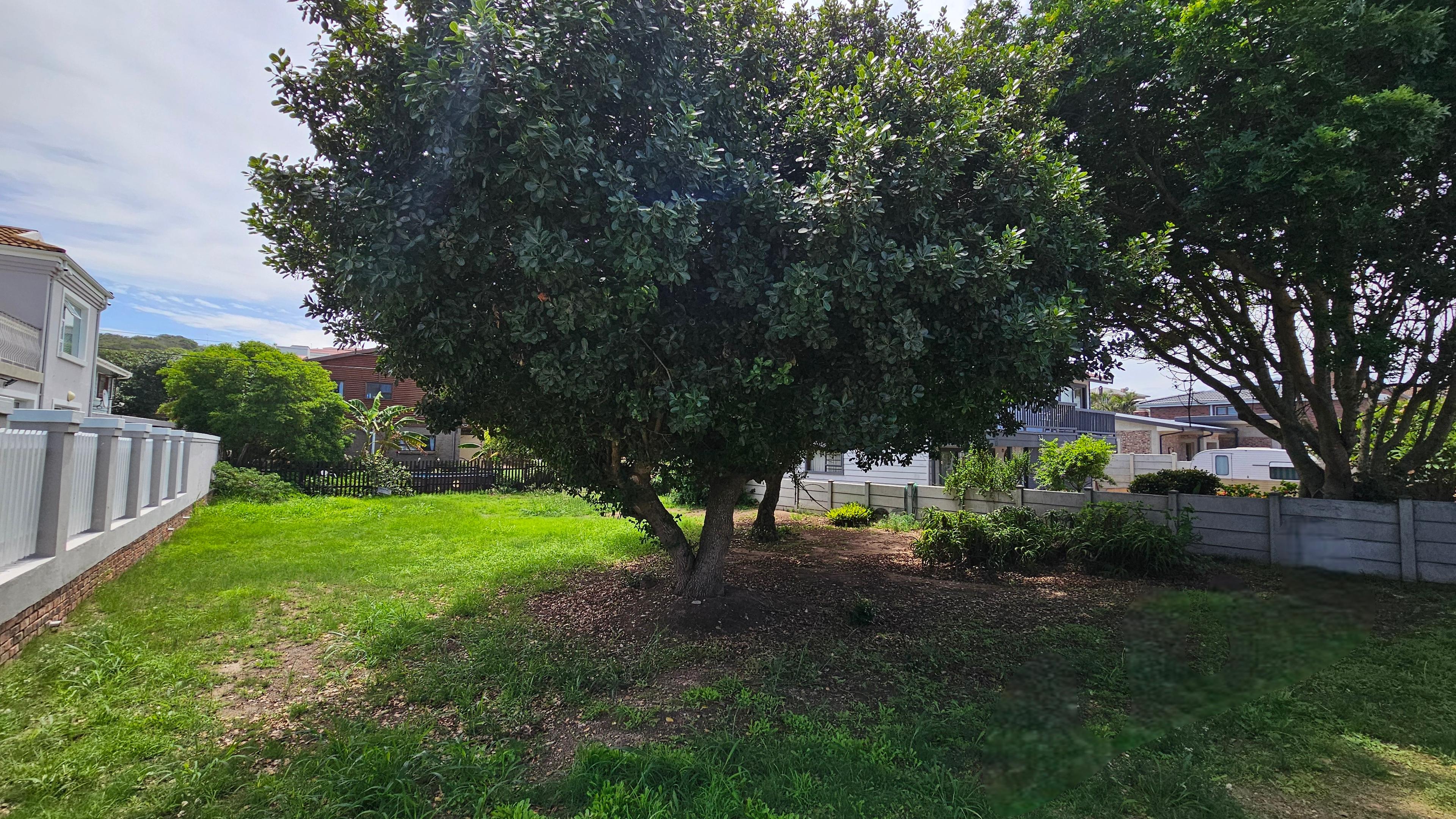 Image 14