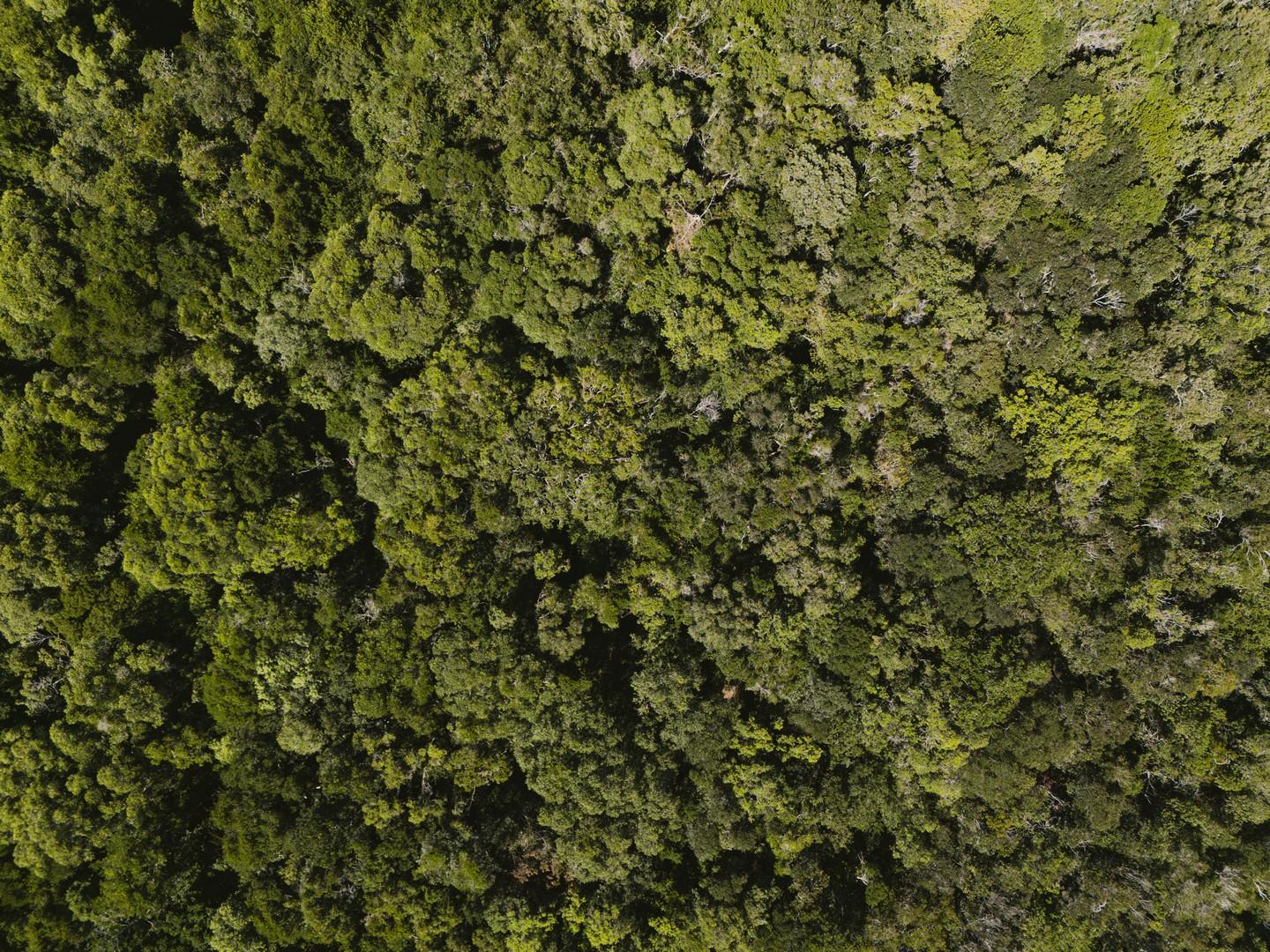 Image 18