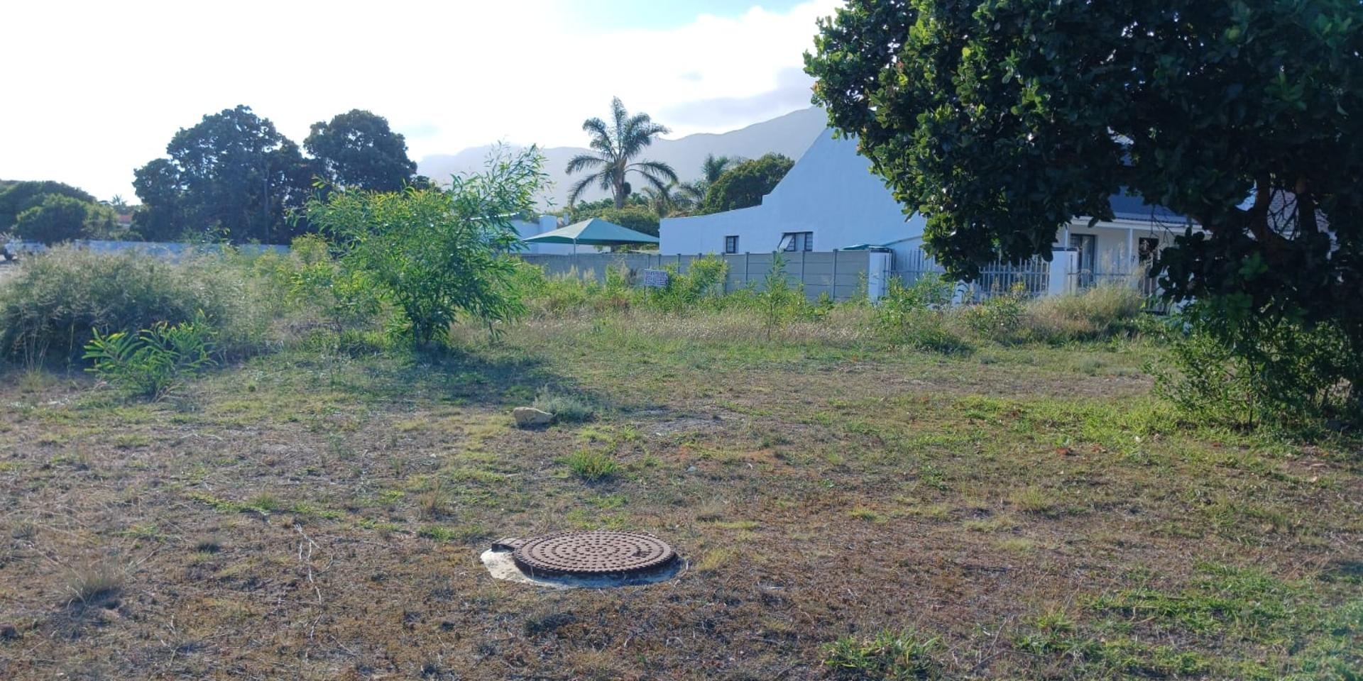 Image 4 of 6