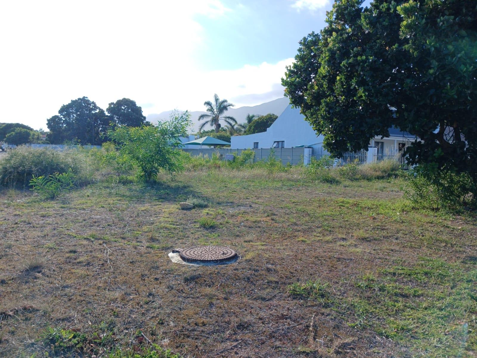 Image 4 of 6