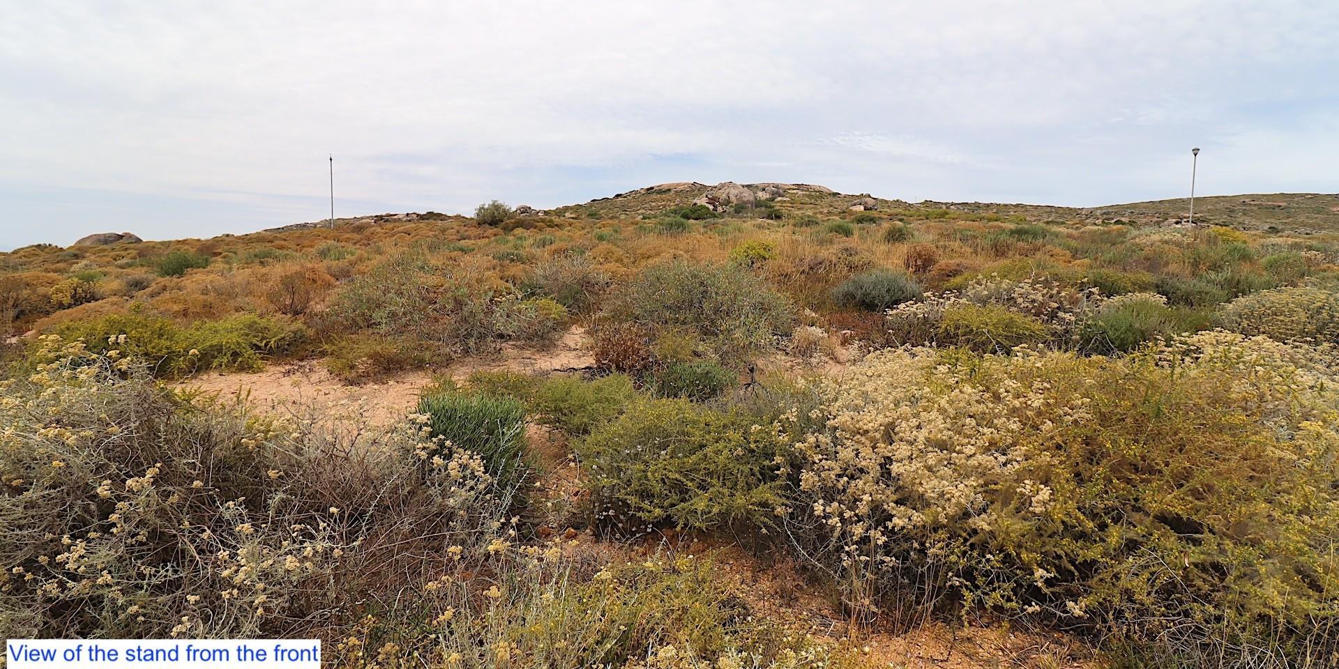Image 3 of 6