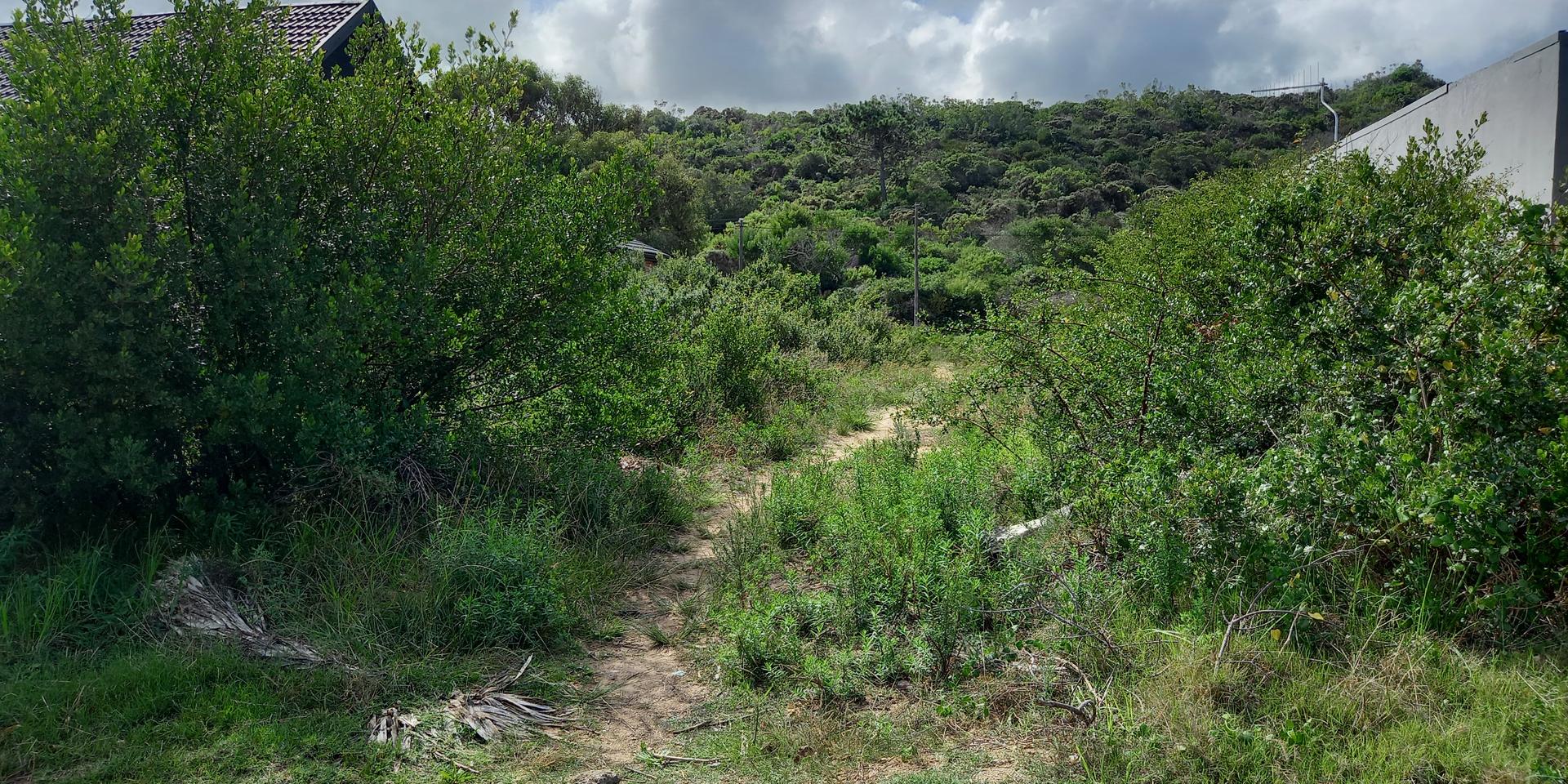 Image 2 of 6