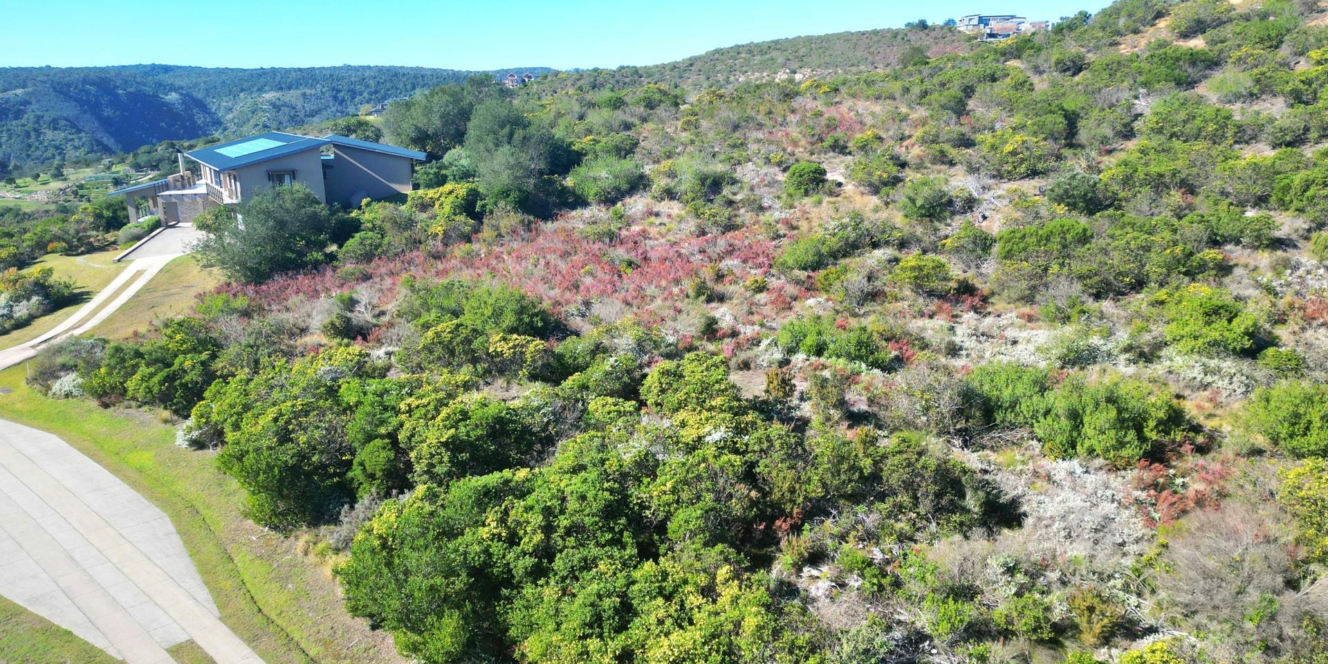 Image 4 of 6