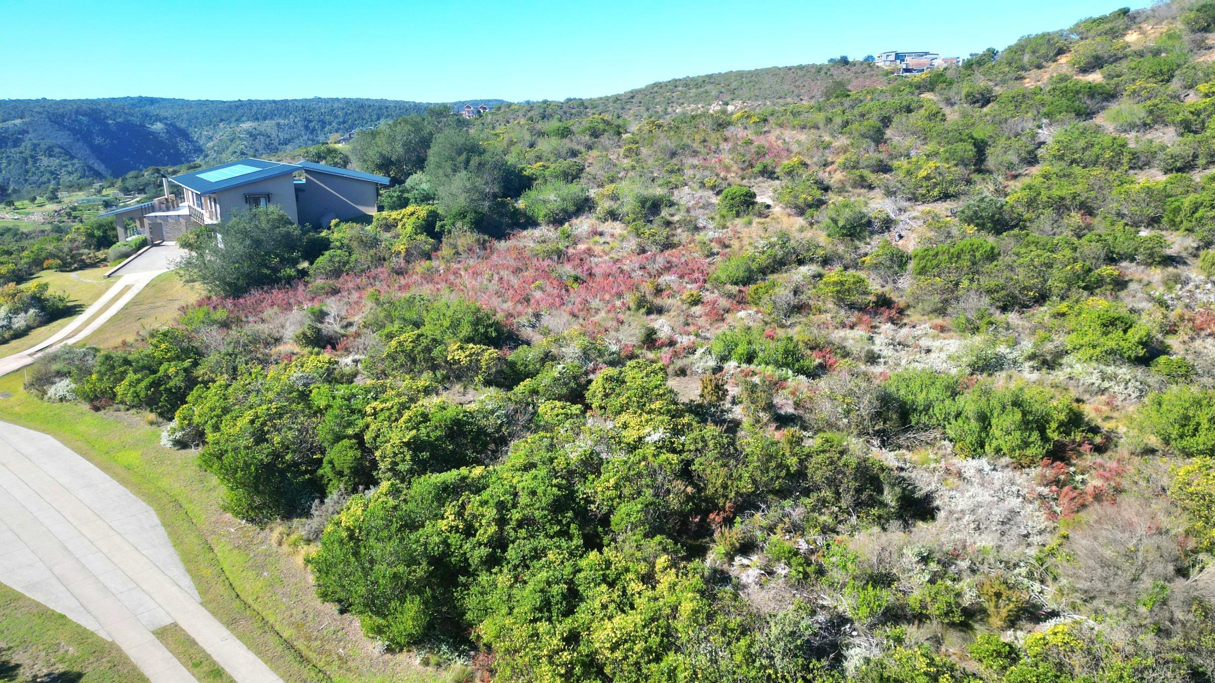 Image 4 of 6