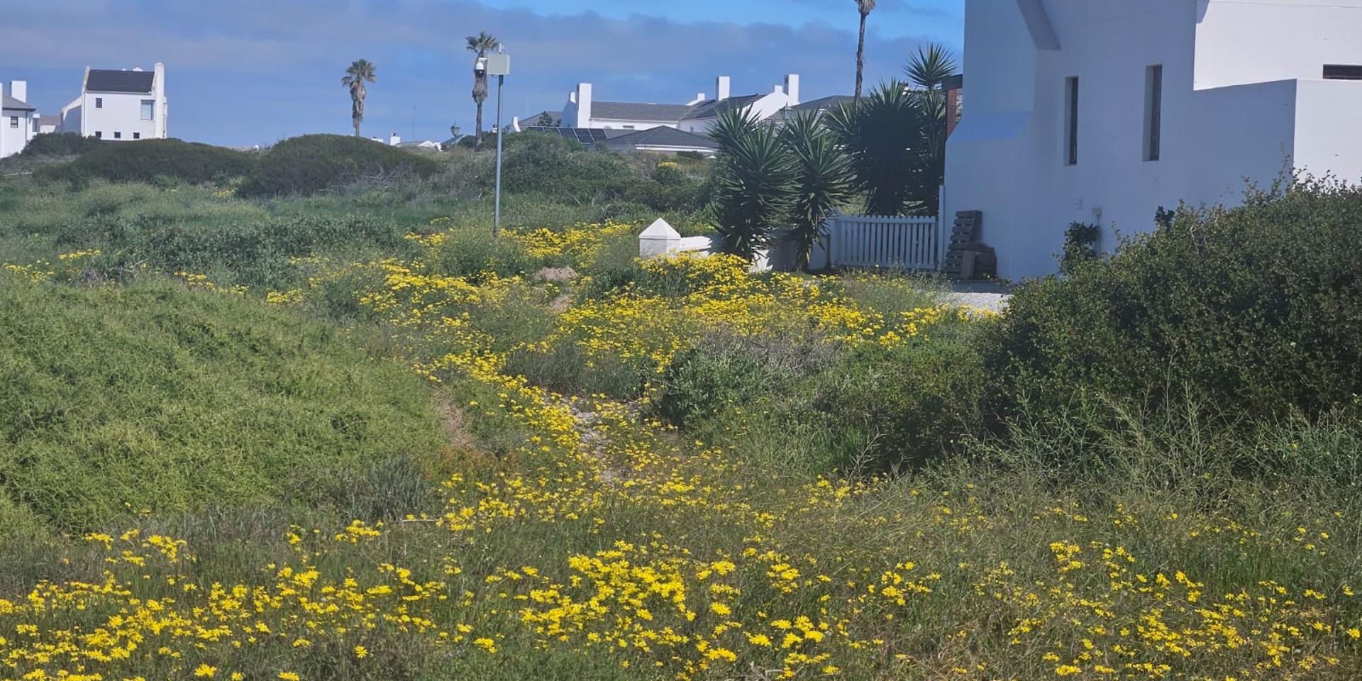 Image 2 of 6