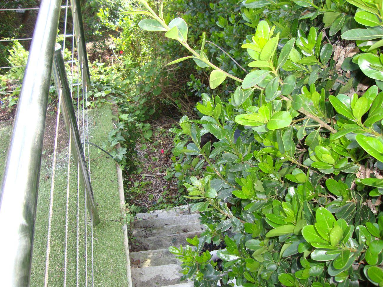 Image 19