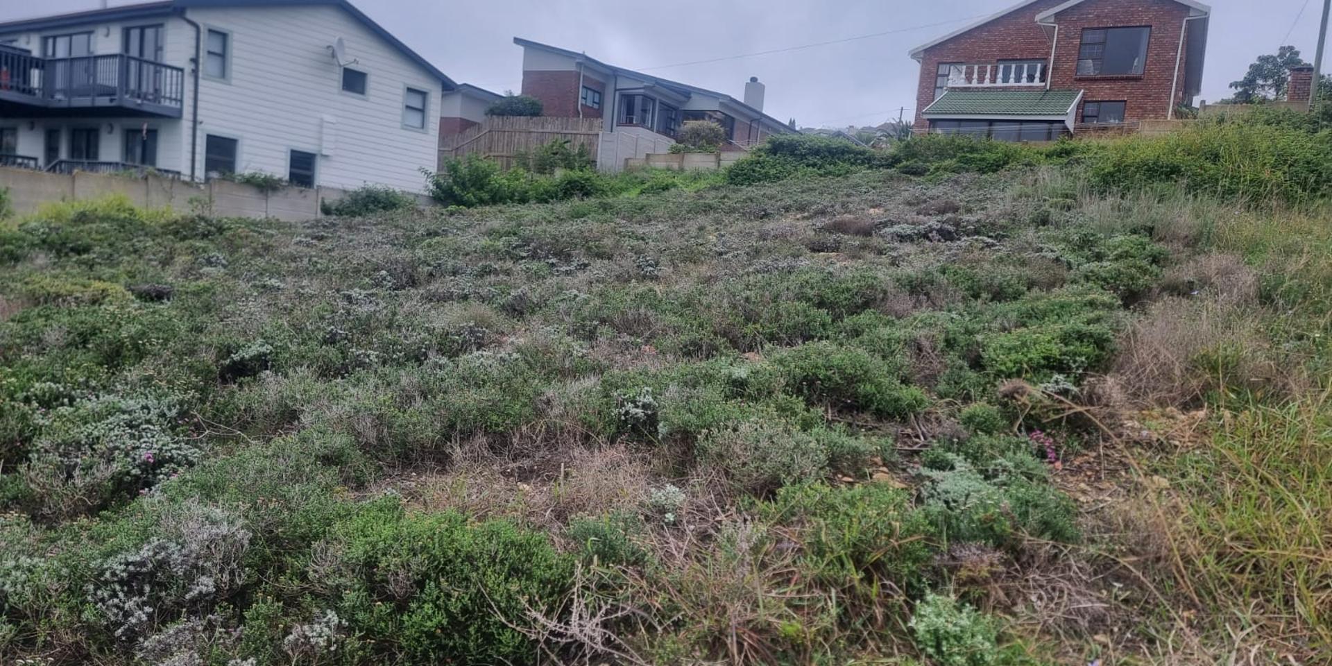 Image 2 of 6