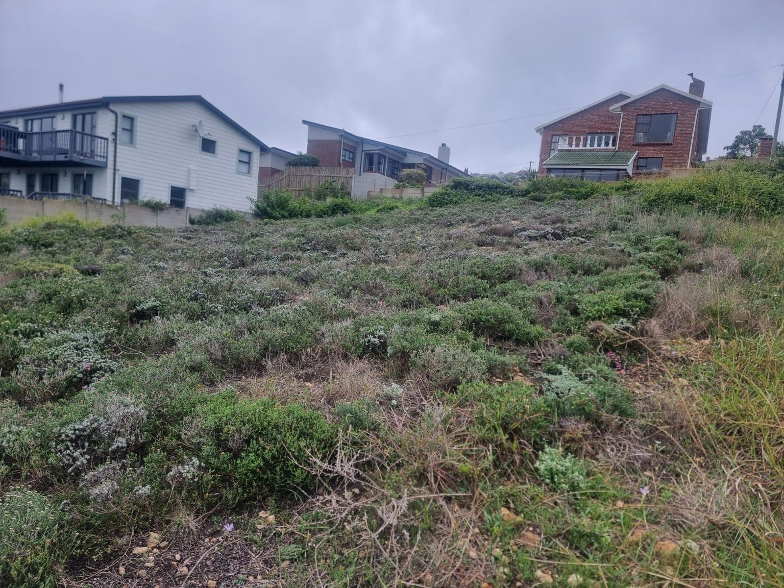 Image 2 of 6