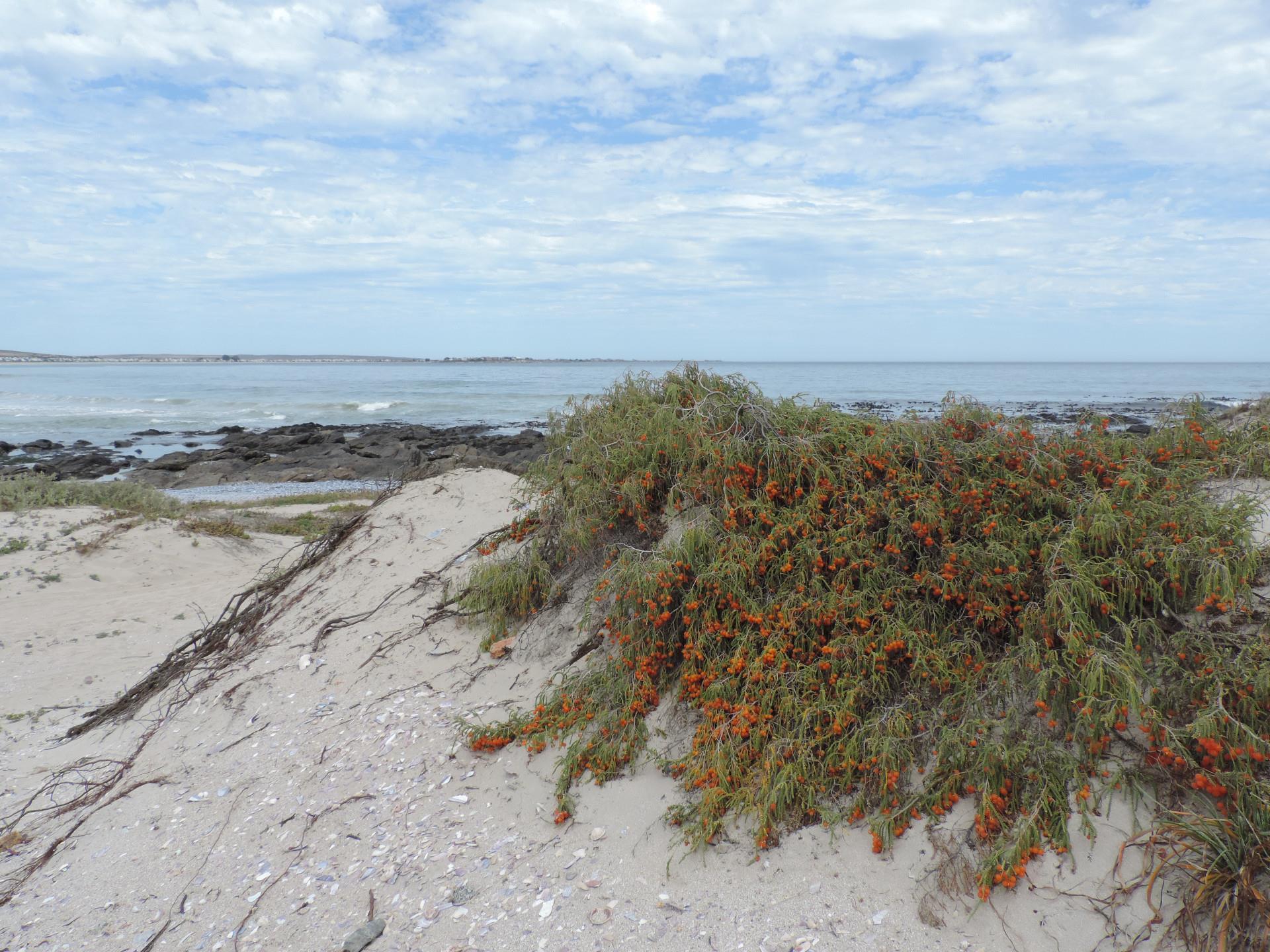 Image 10