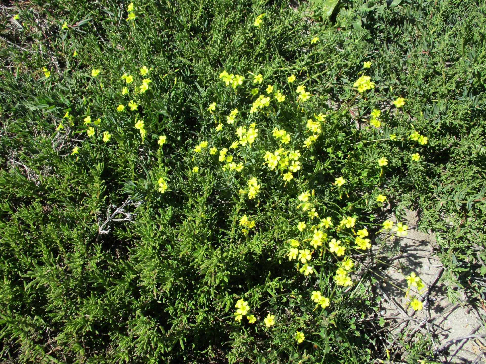Image 2 of 6