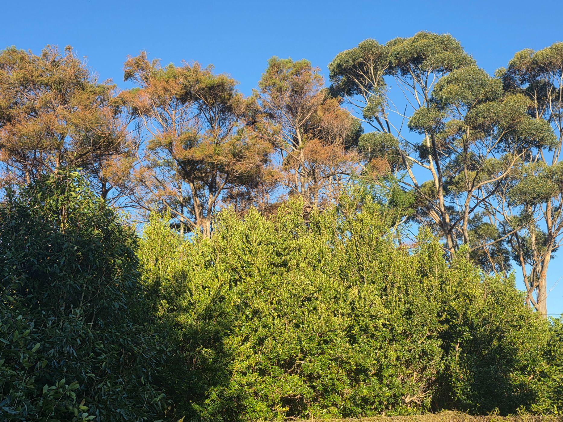 Image 35