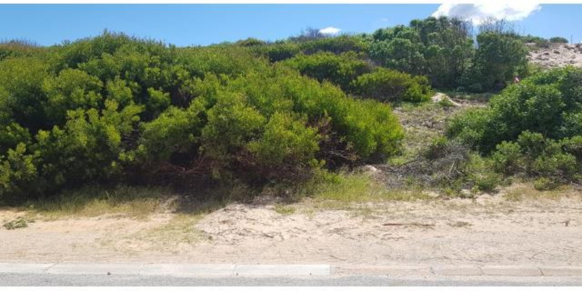 Image 5 of 6