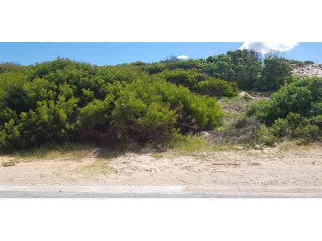 Image 5 of 6