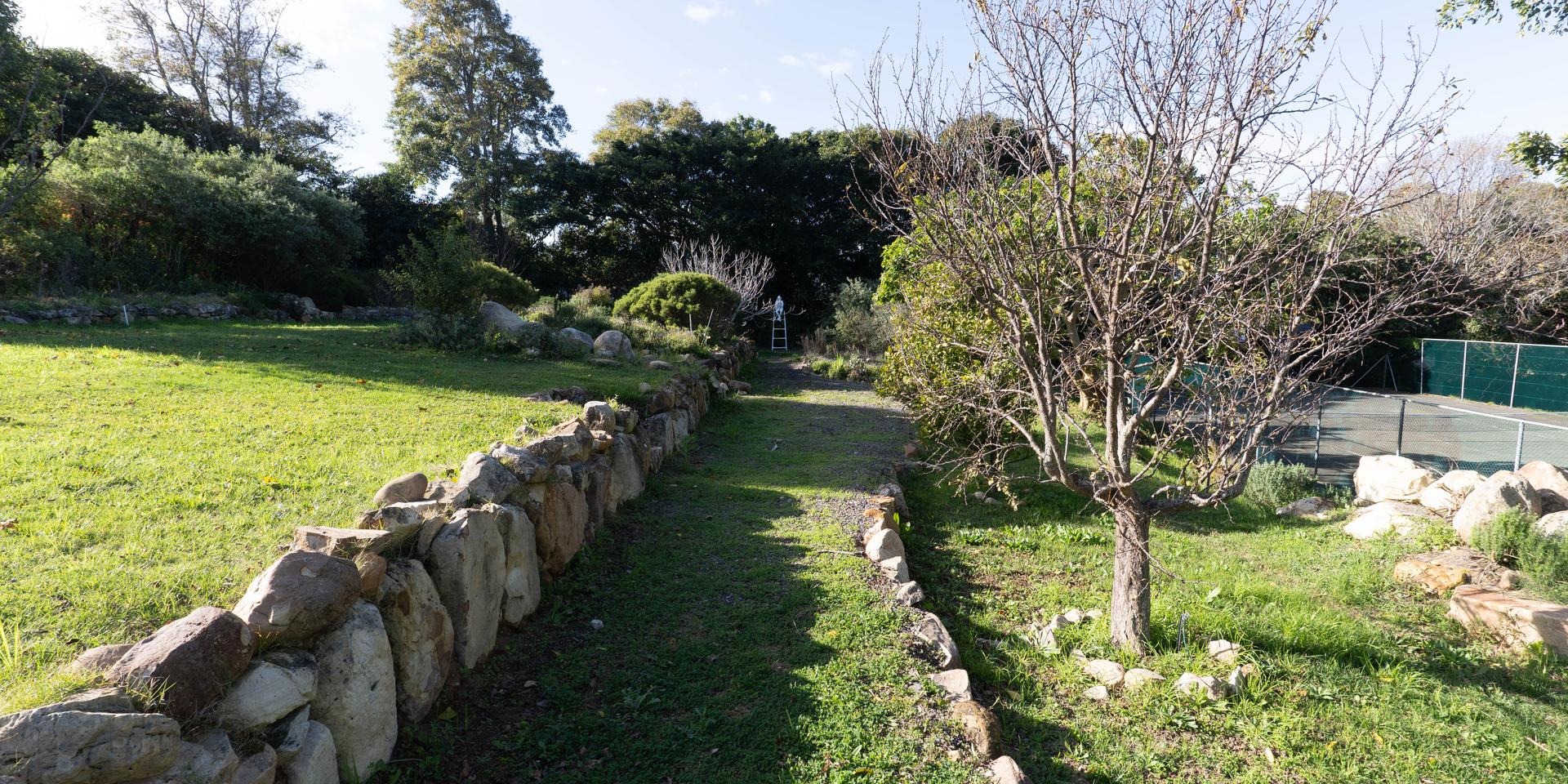 Image 5 of 6