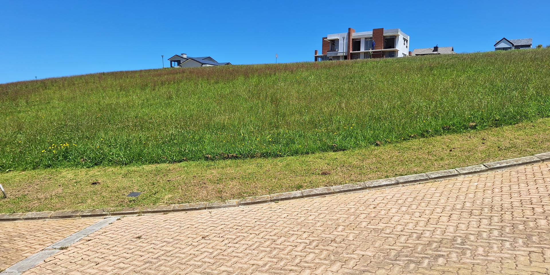 Image 4 of 6