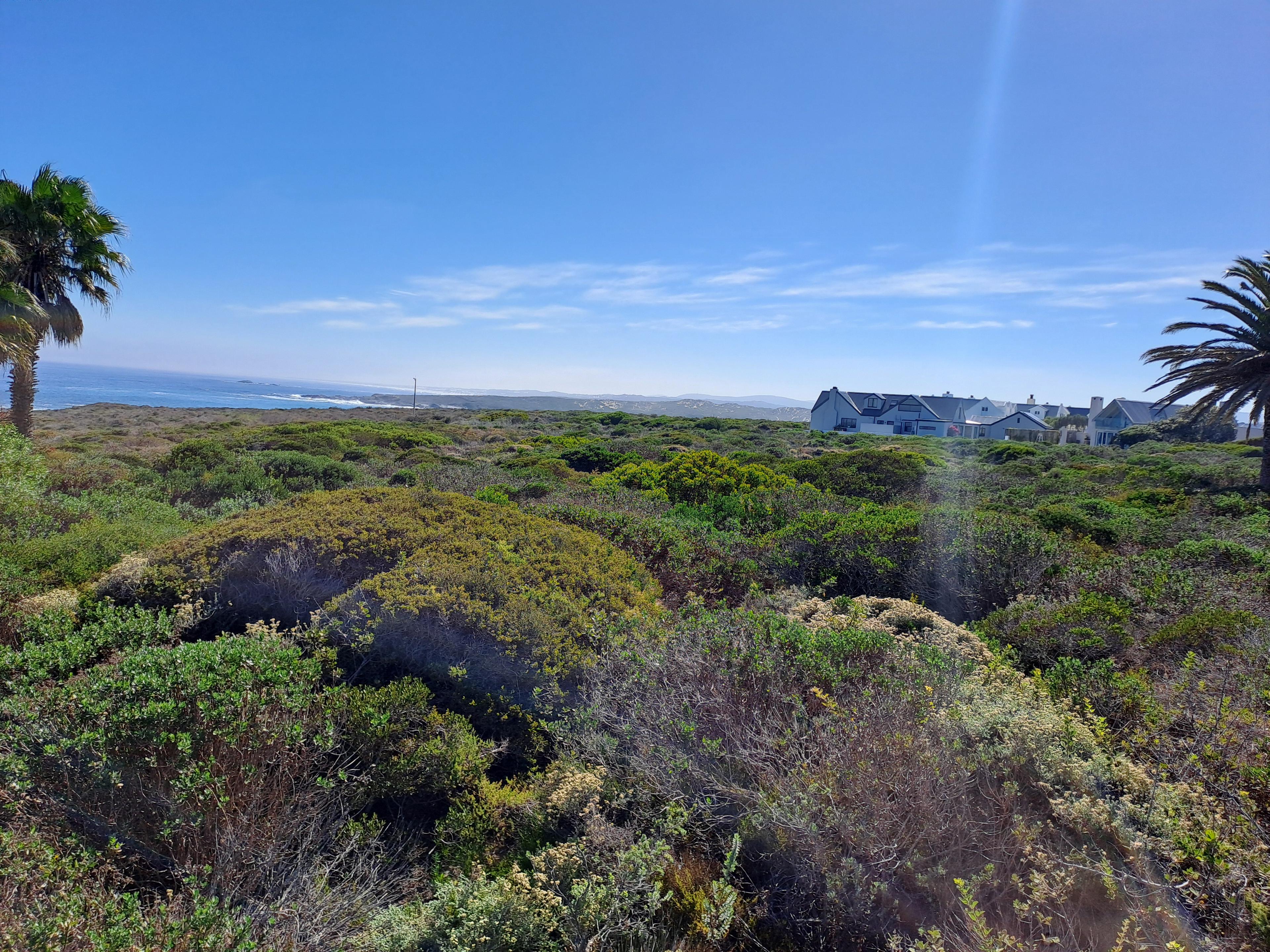 Image 4 of 6