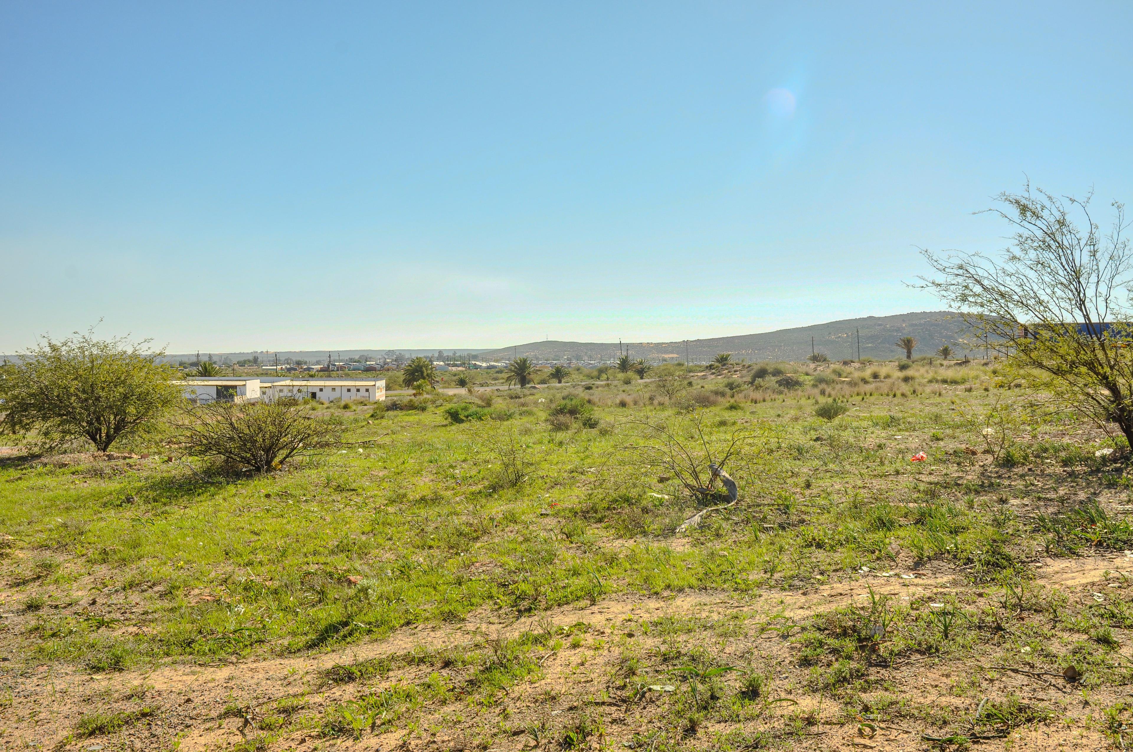 Image 4 of 6