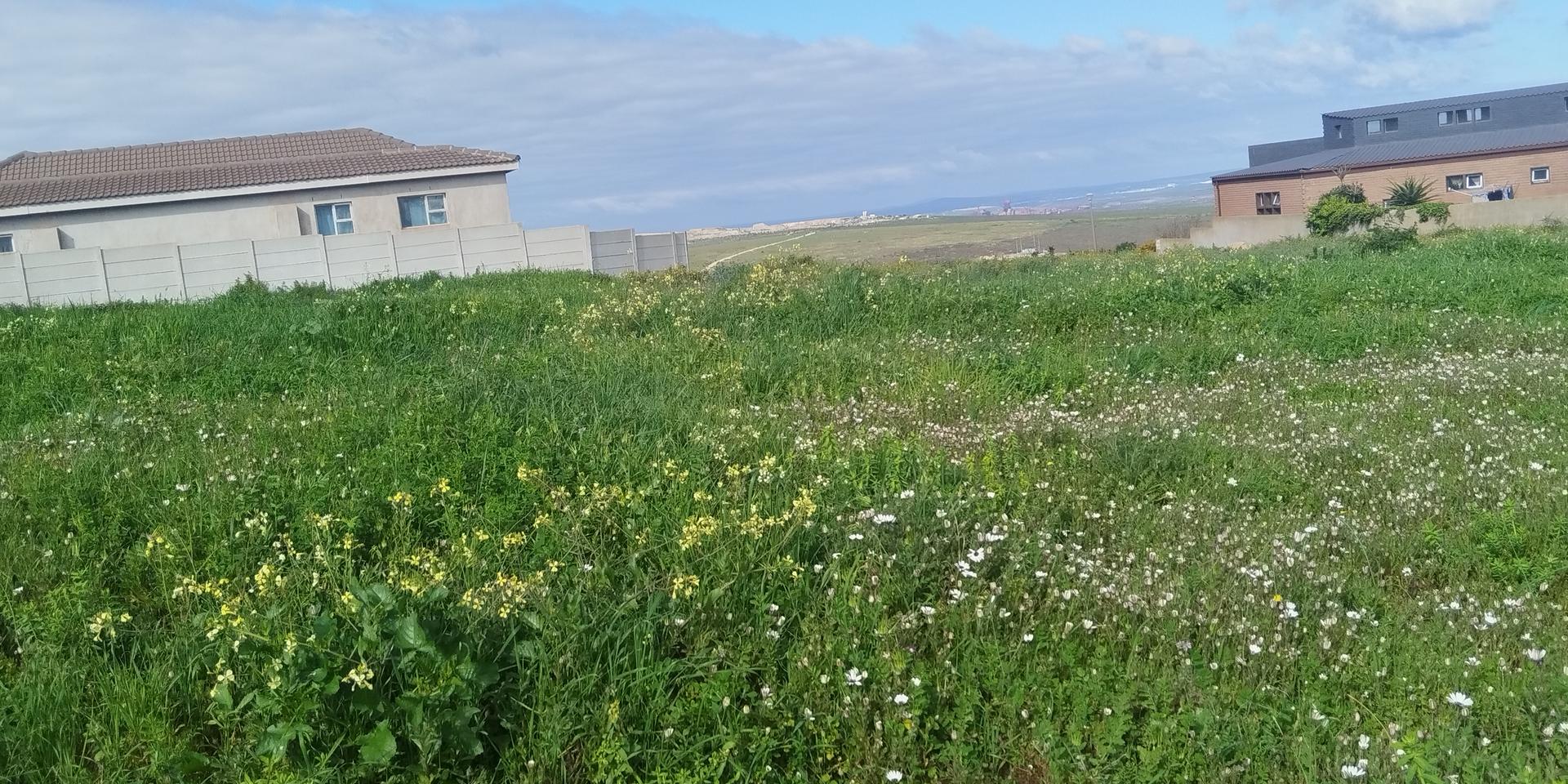 Image 2 of 6
