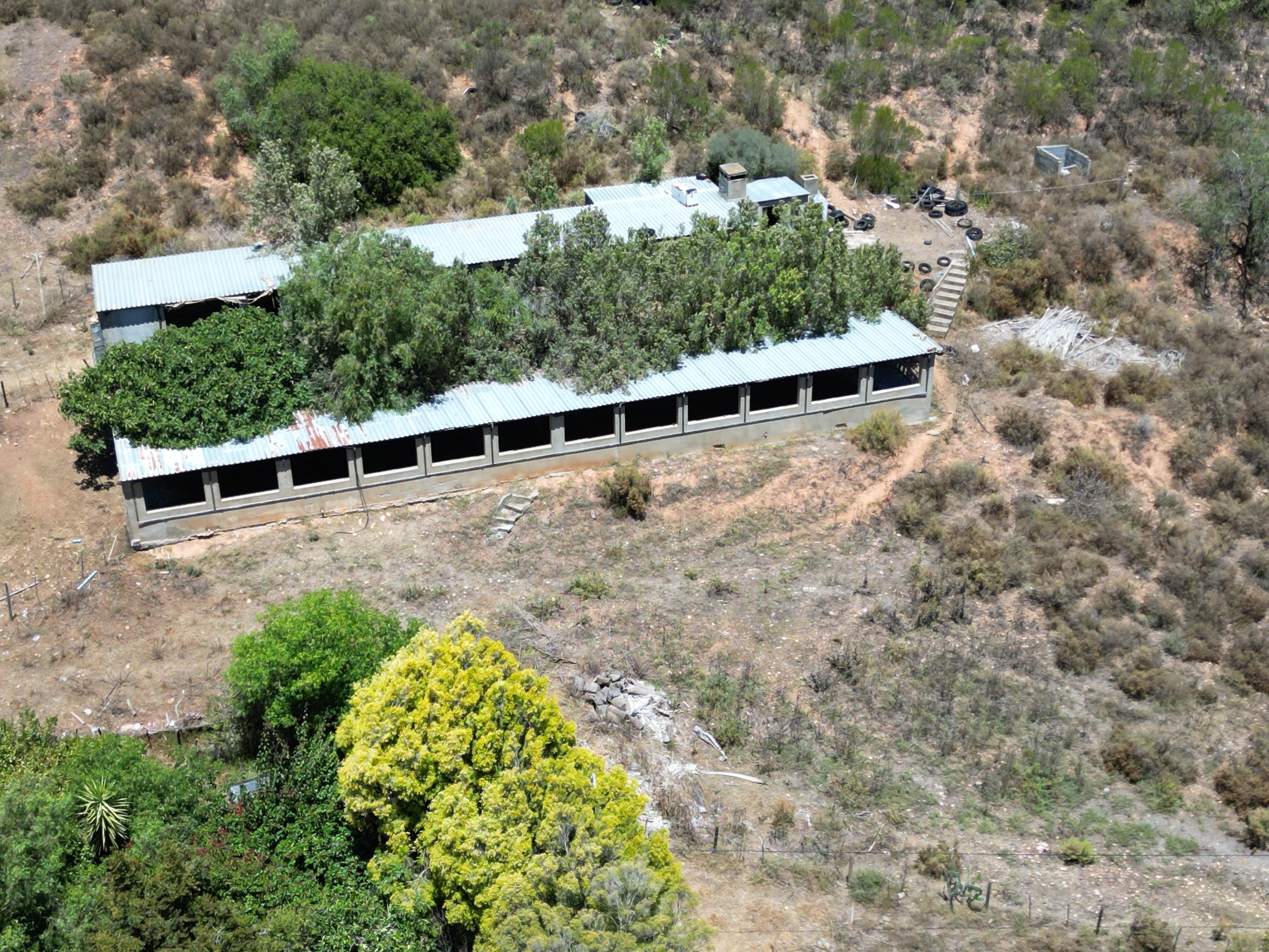 Image 41