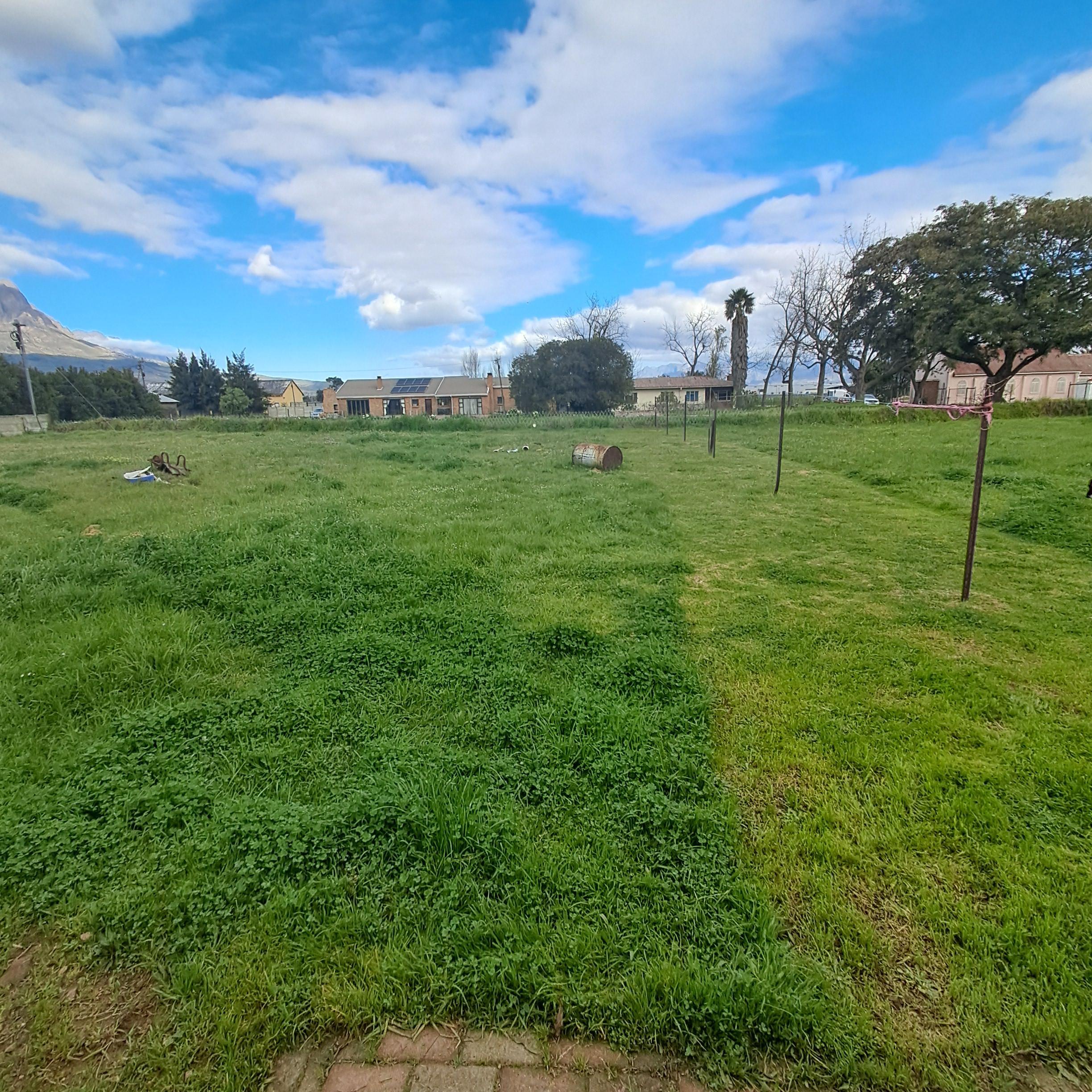 Image 25