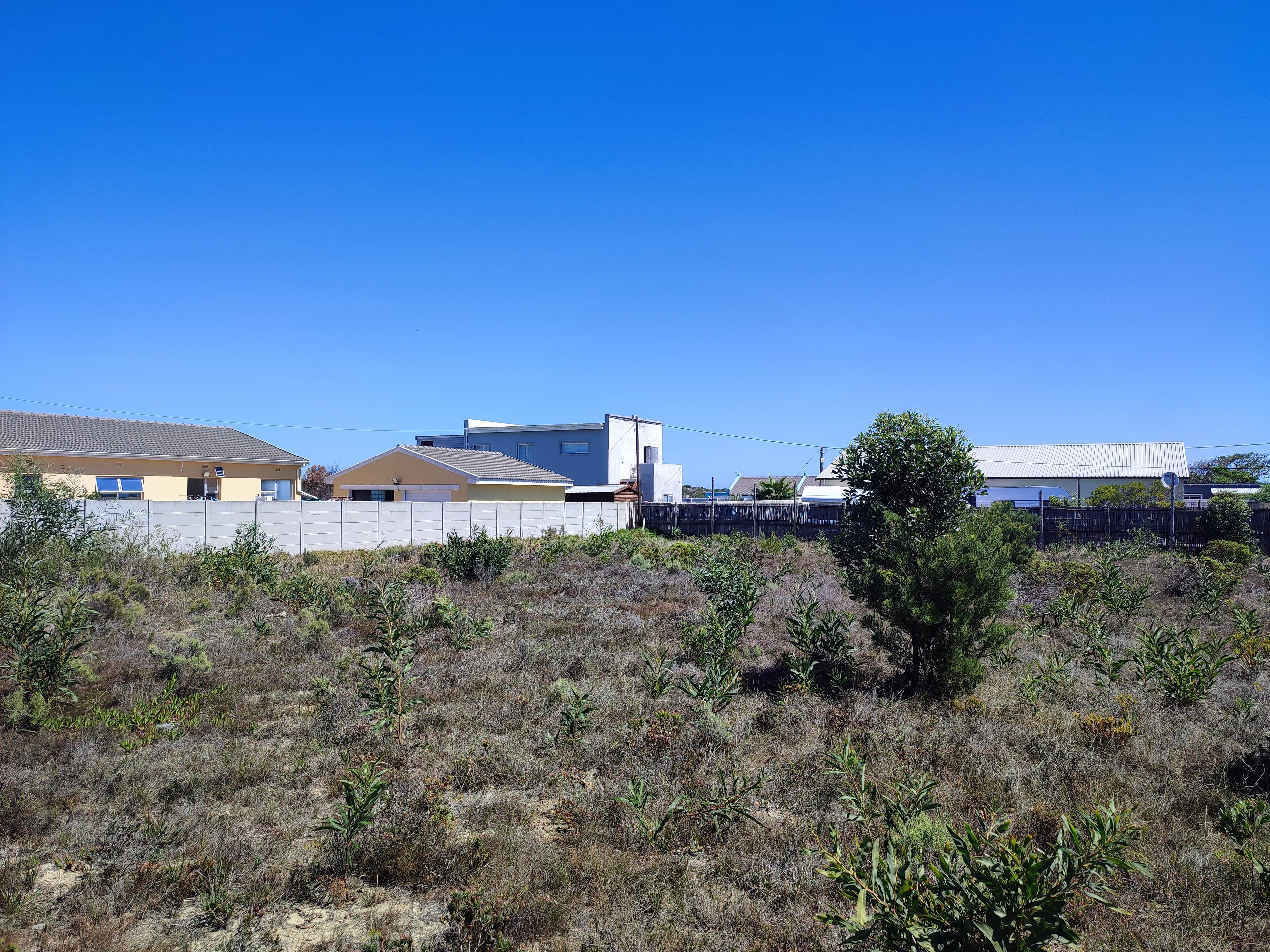 Image 4 of 6