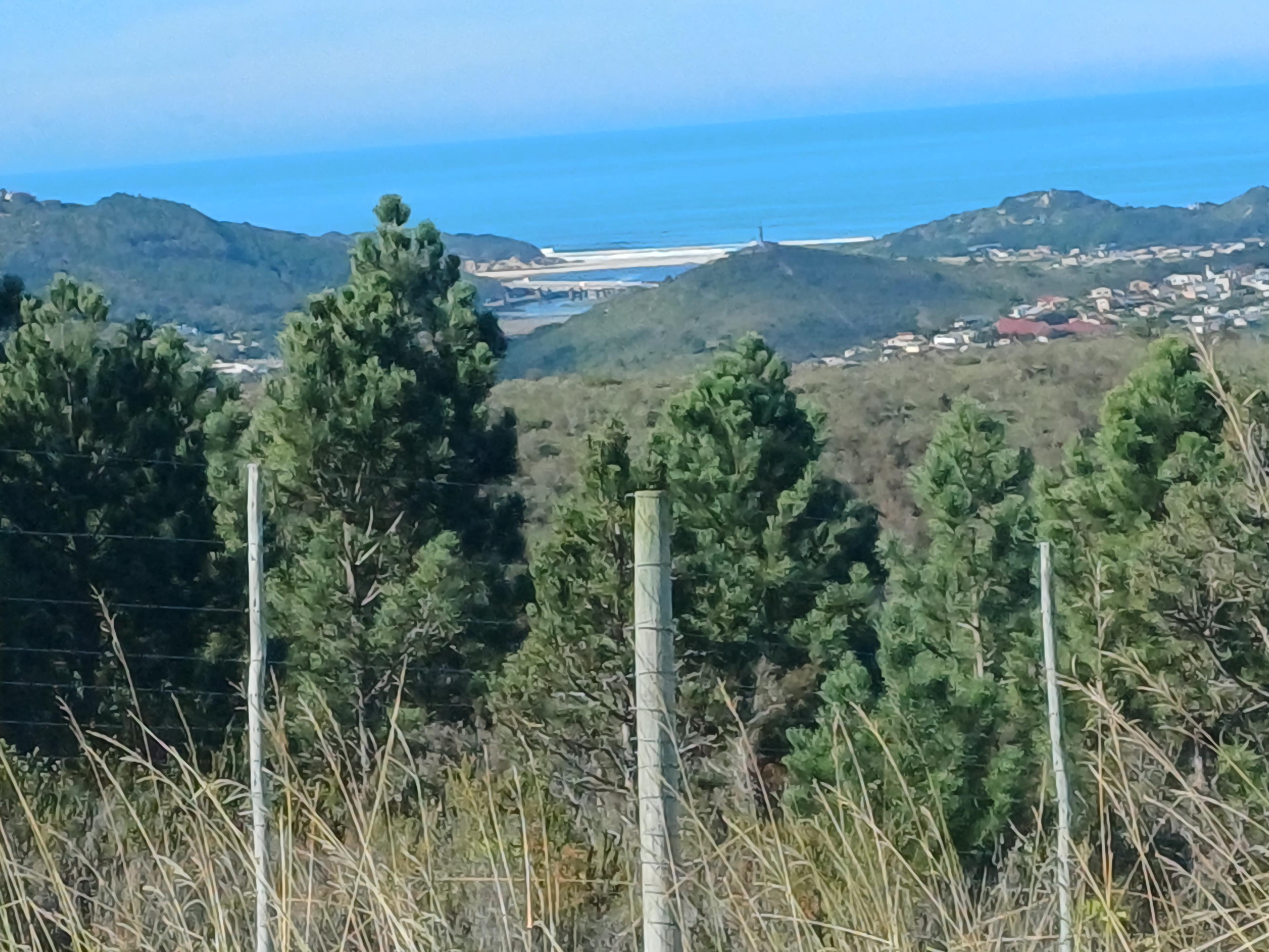 Image 4 of 6