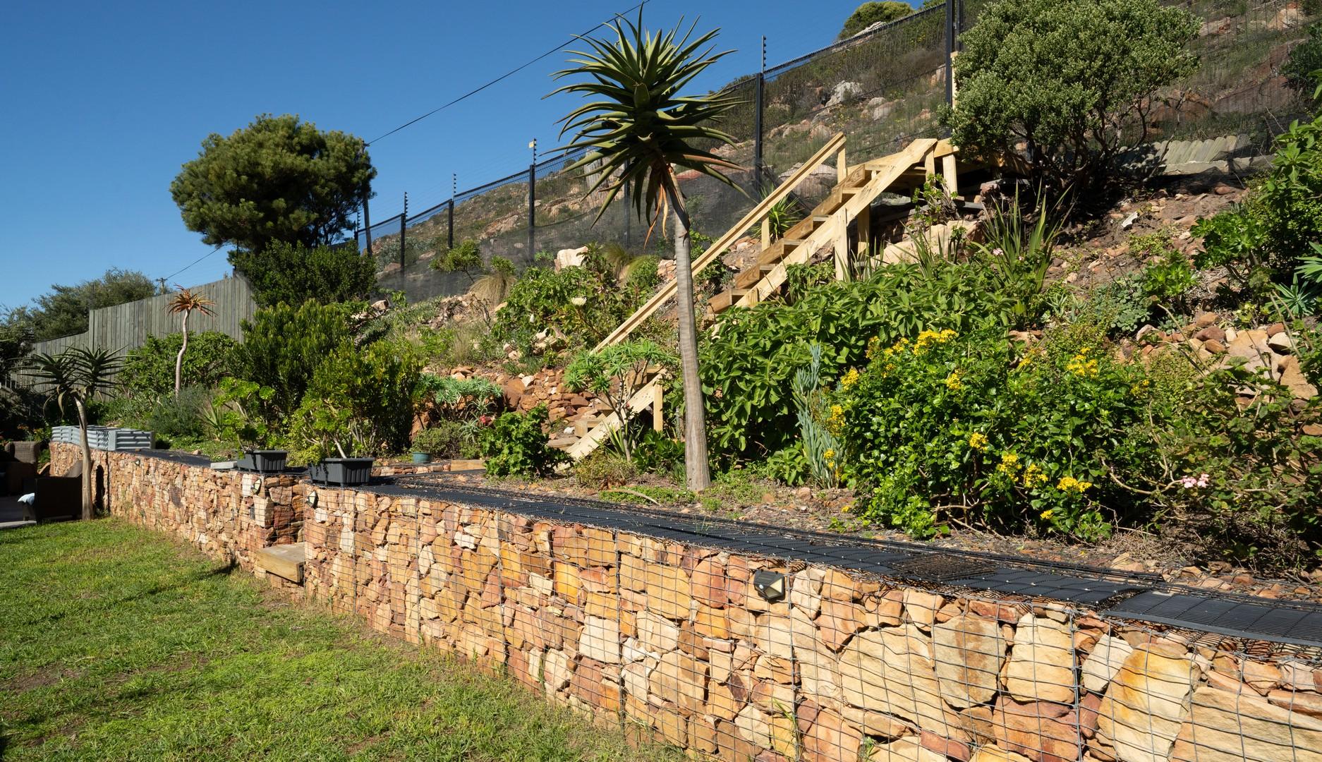 Image 29