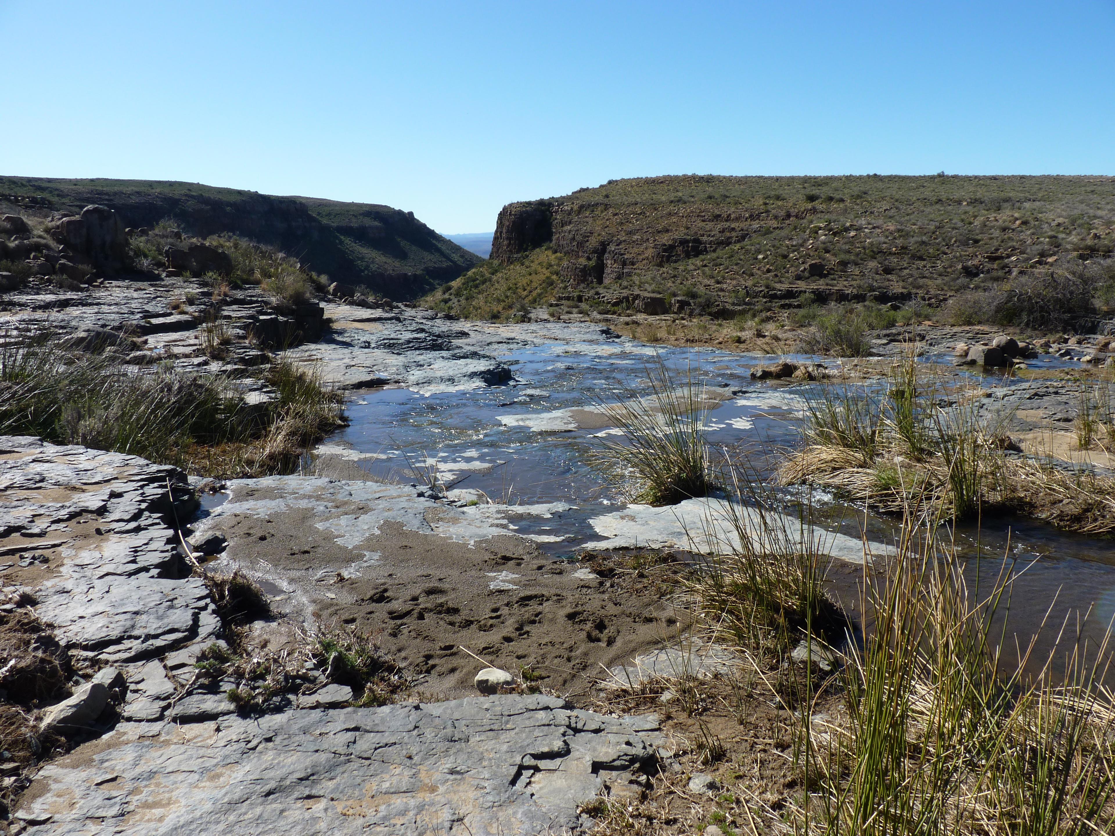 Image 37