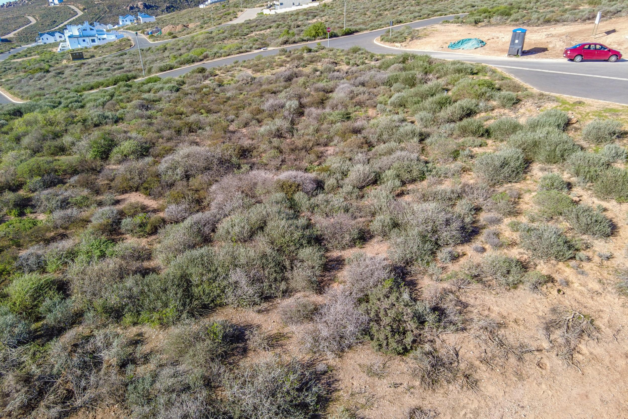 Image 13