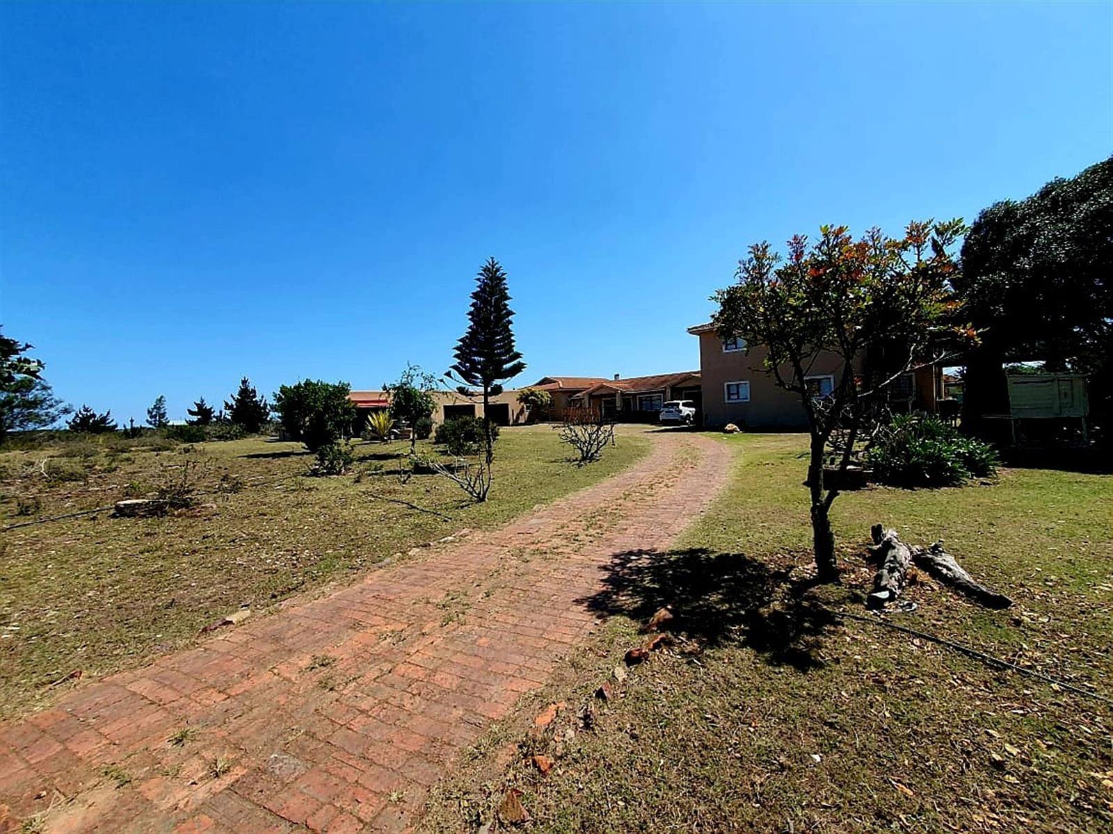 Image 4 of 6