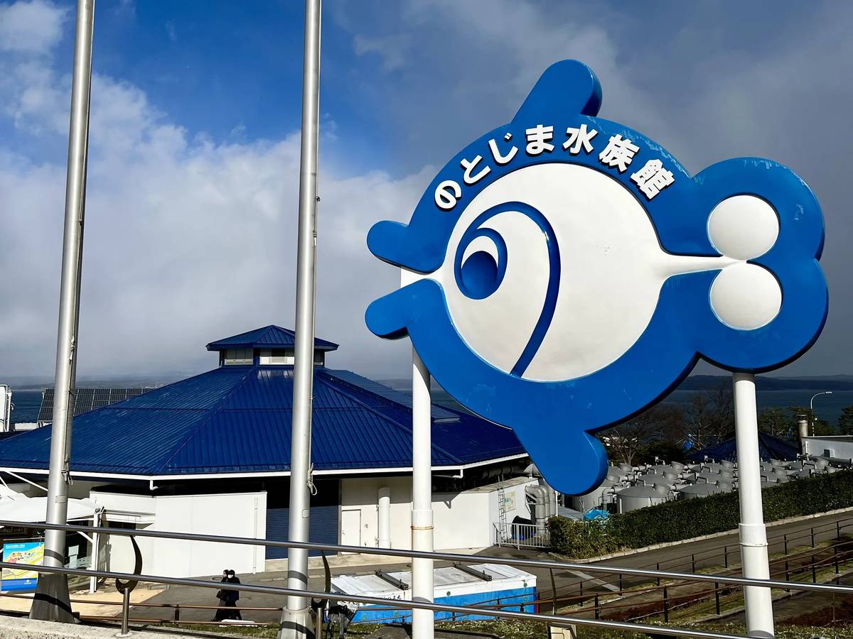 Noto-aquarium-3