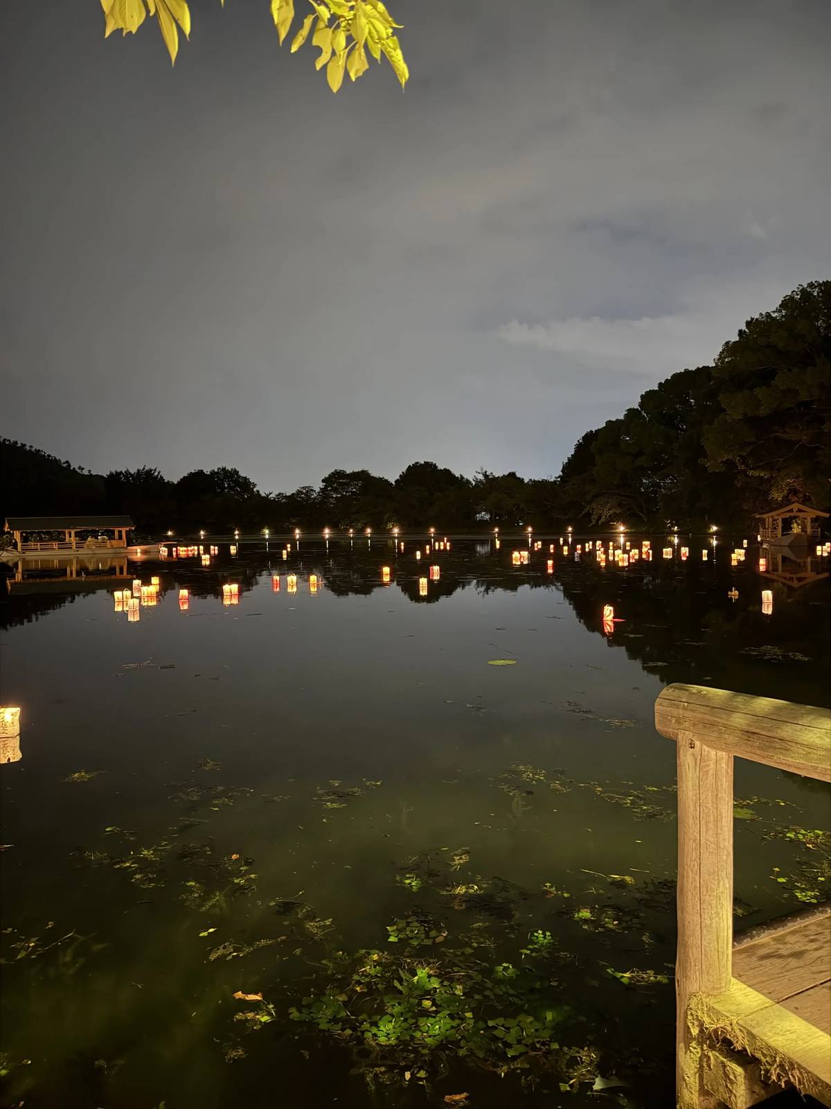 Lights along the shore of Osawa Pond at dusk