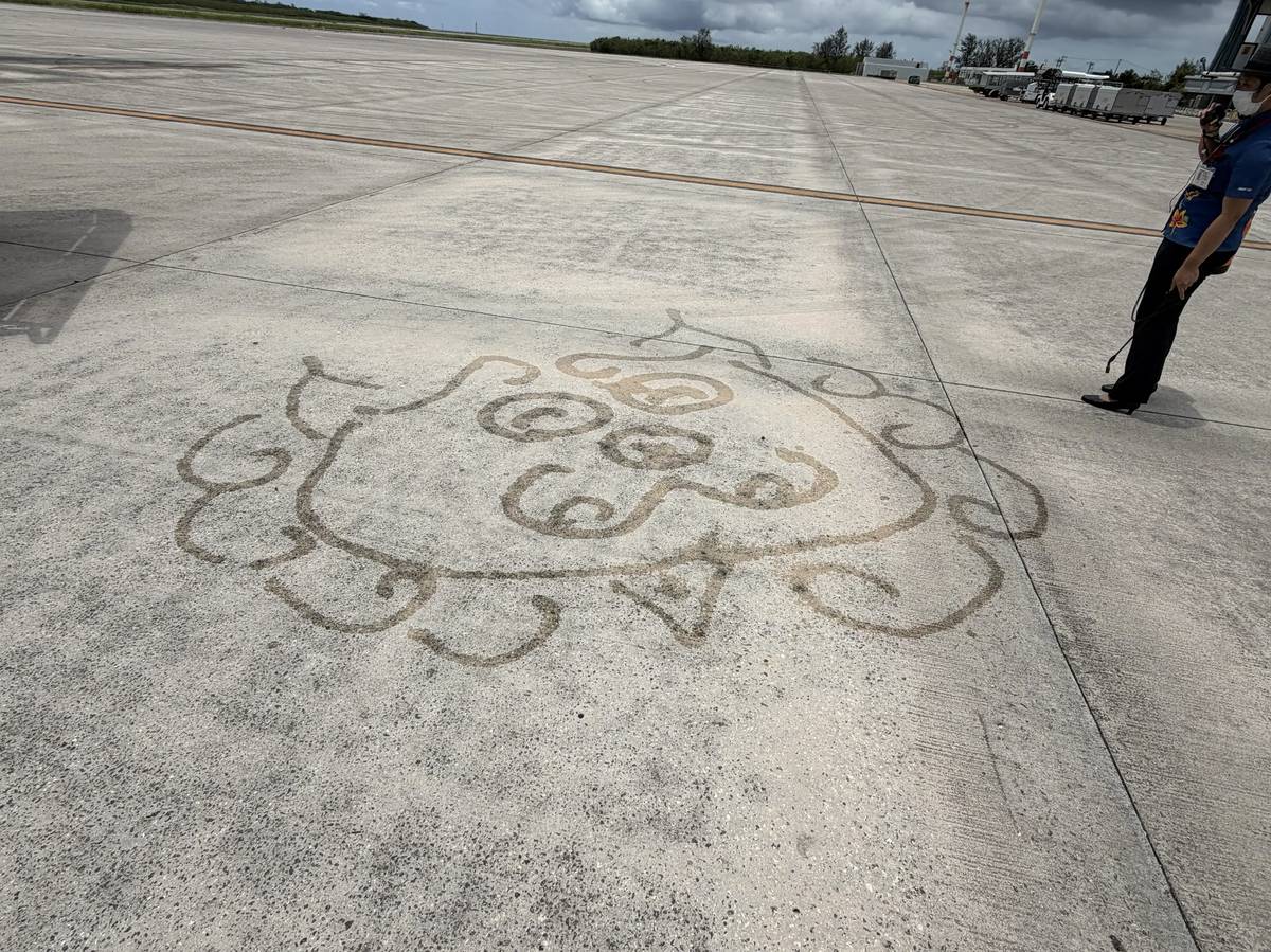 Shisa drawn on the apron at Shimojishima Airport