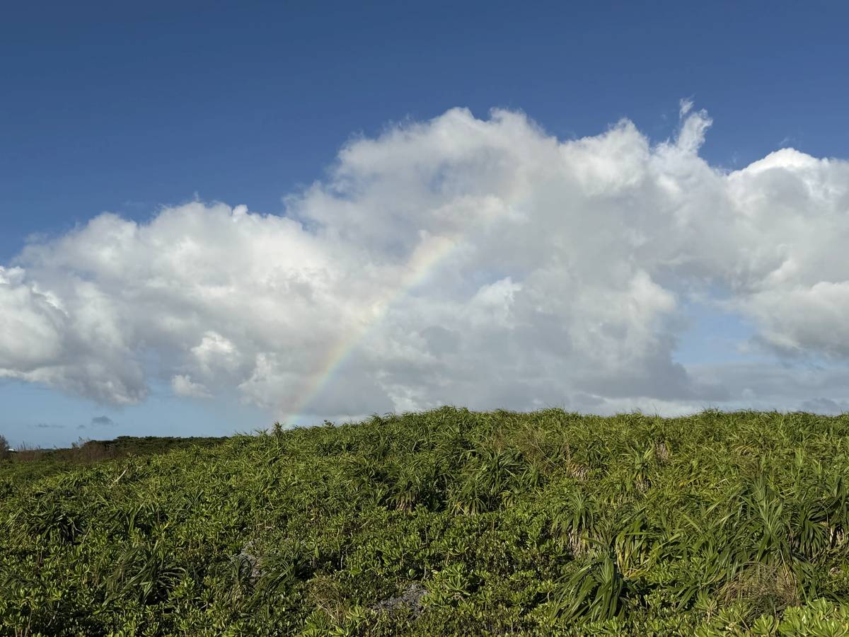 Cumulonimbus clouds and a rainbow