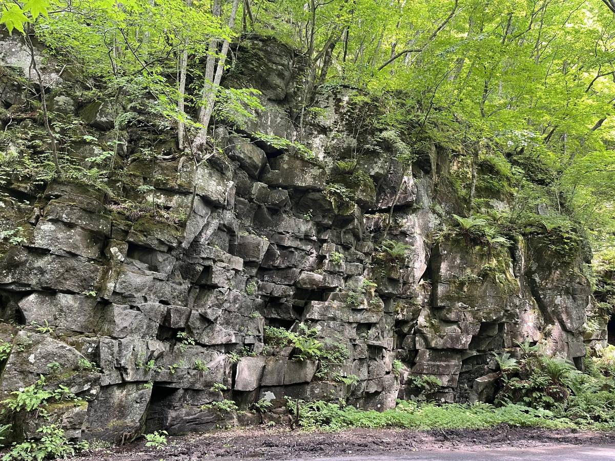 Oirase-Keiryu-Hiking-10