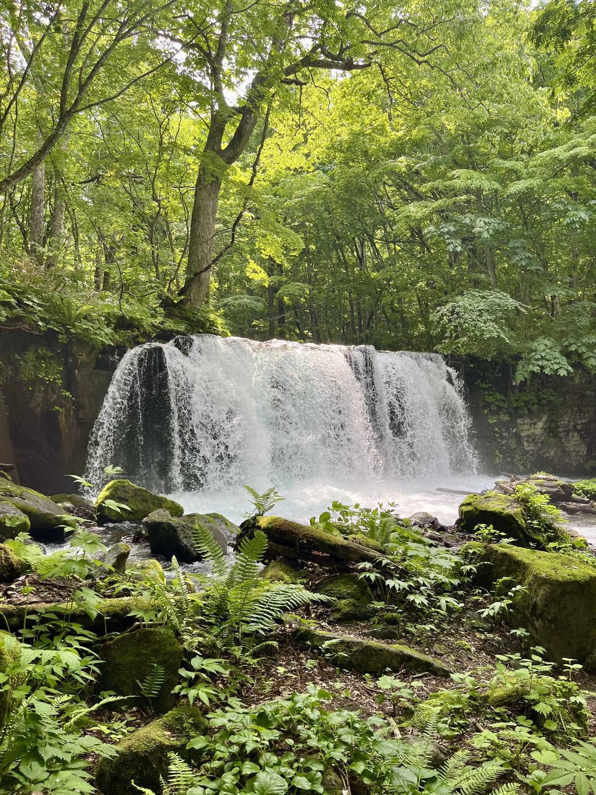 Oirase-Keiryu-Hiking-11