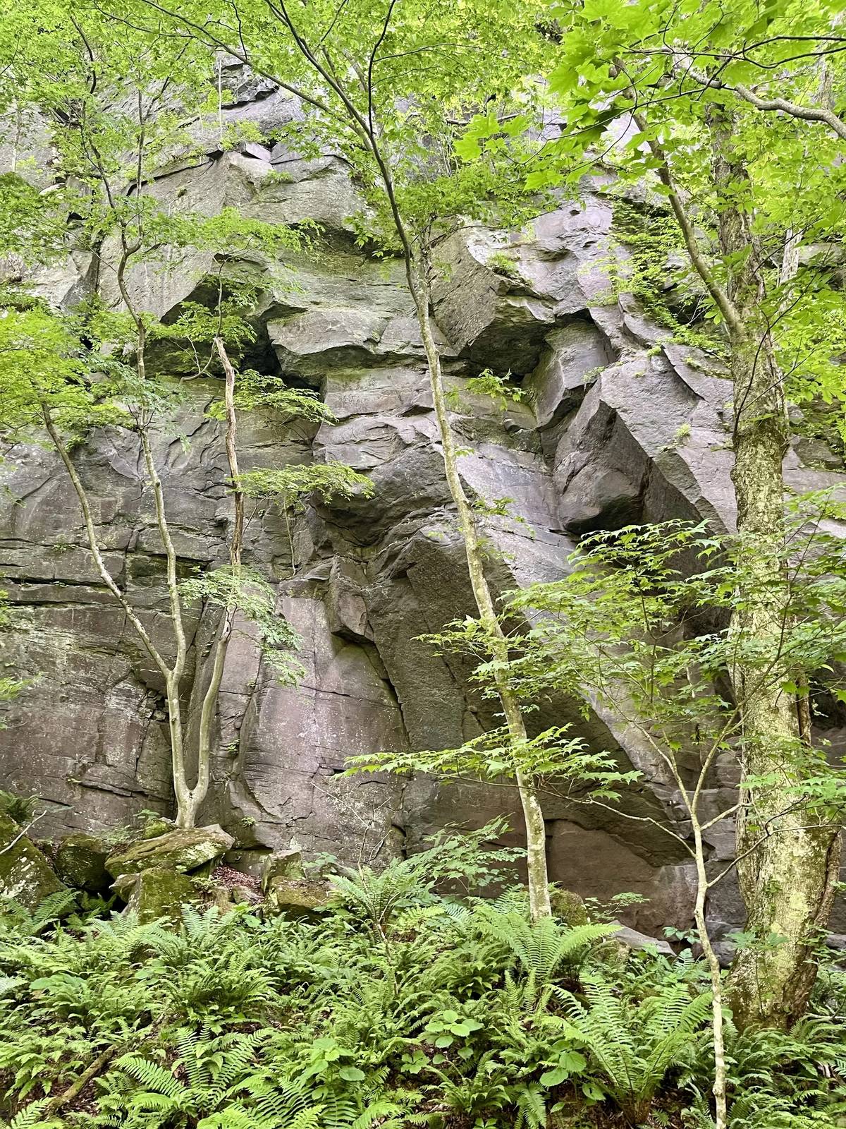 Oirase-Keiryu-Hiking-16