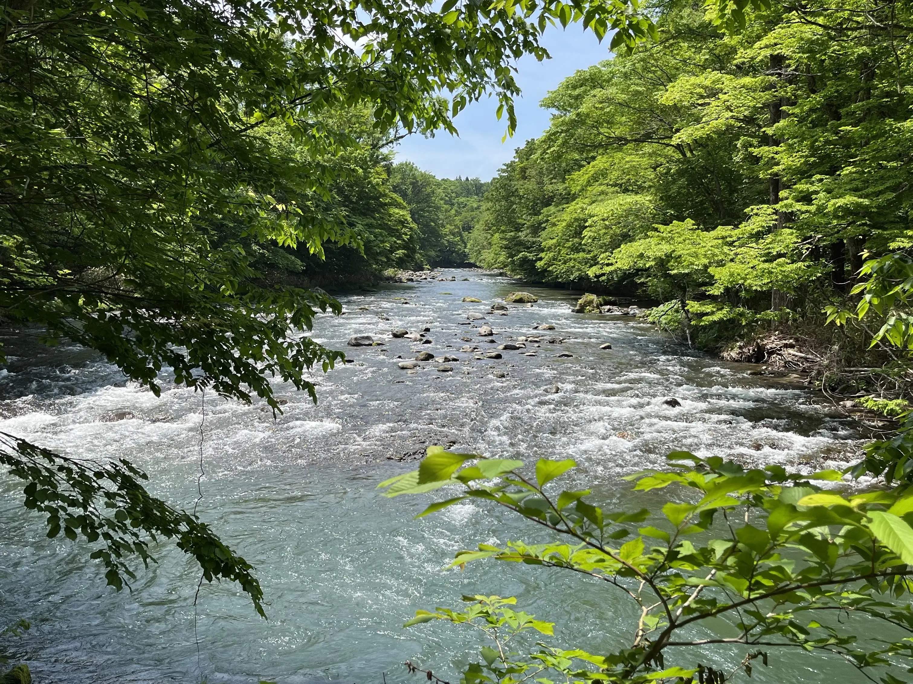 Oirase・Lake Towada (Aomori Prefecture) 2 nights 3 days - Solo trip to fully enjoy the lush greenery - June